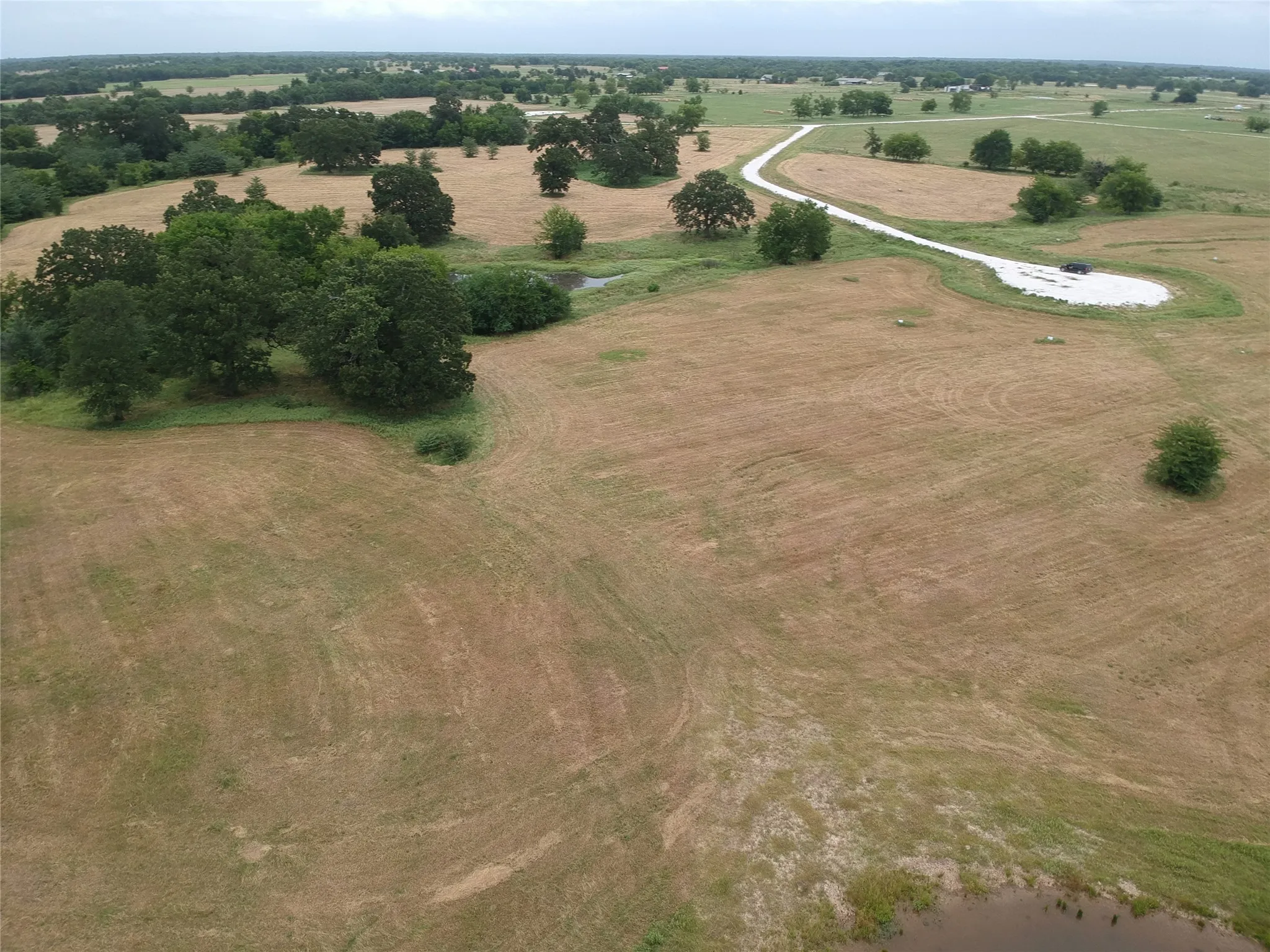 Improved Land For Sale in Hopkins County , 000 County Road 3512, Dike, Texas 75437, 0, 0, Garage spaces, 0 Sqft, built in 0, Price $60,000, mls#21030651, Real Estate Agent in Dike, Homes For Sale in Hopkins county, Homes For Sale in Dike, Realtor in Dike Texas, Real Estate Brokerage Independent Realty Texas, Luminita Cordes Realtor