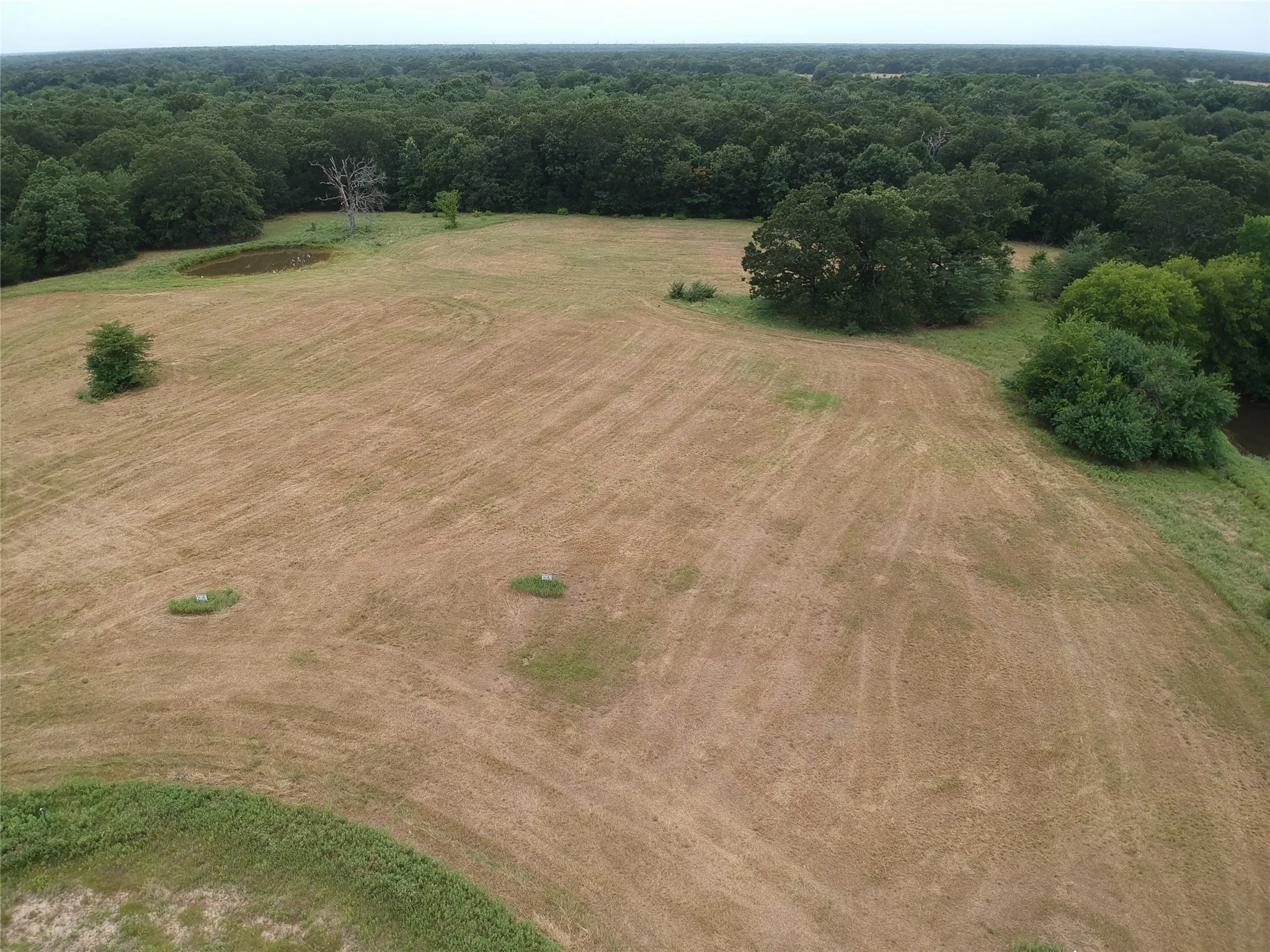 Improved Land For Sale in Hopkins County , 000 County Road 3512, Dike, Texas 75437, 0, 0, Garage spaces, 0 Sqft, built in 0, Price $60,000, mls#21030651, Real Estate Agent in Dike, Homes For Sale in Hopkins county, Homes For Sale in Dike, Realtor in Dike Texas, Real Estate Brokerage Independent Realty Texas, Luminita Cordes Realtor