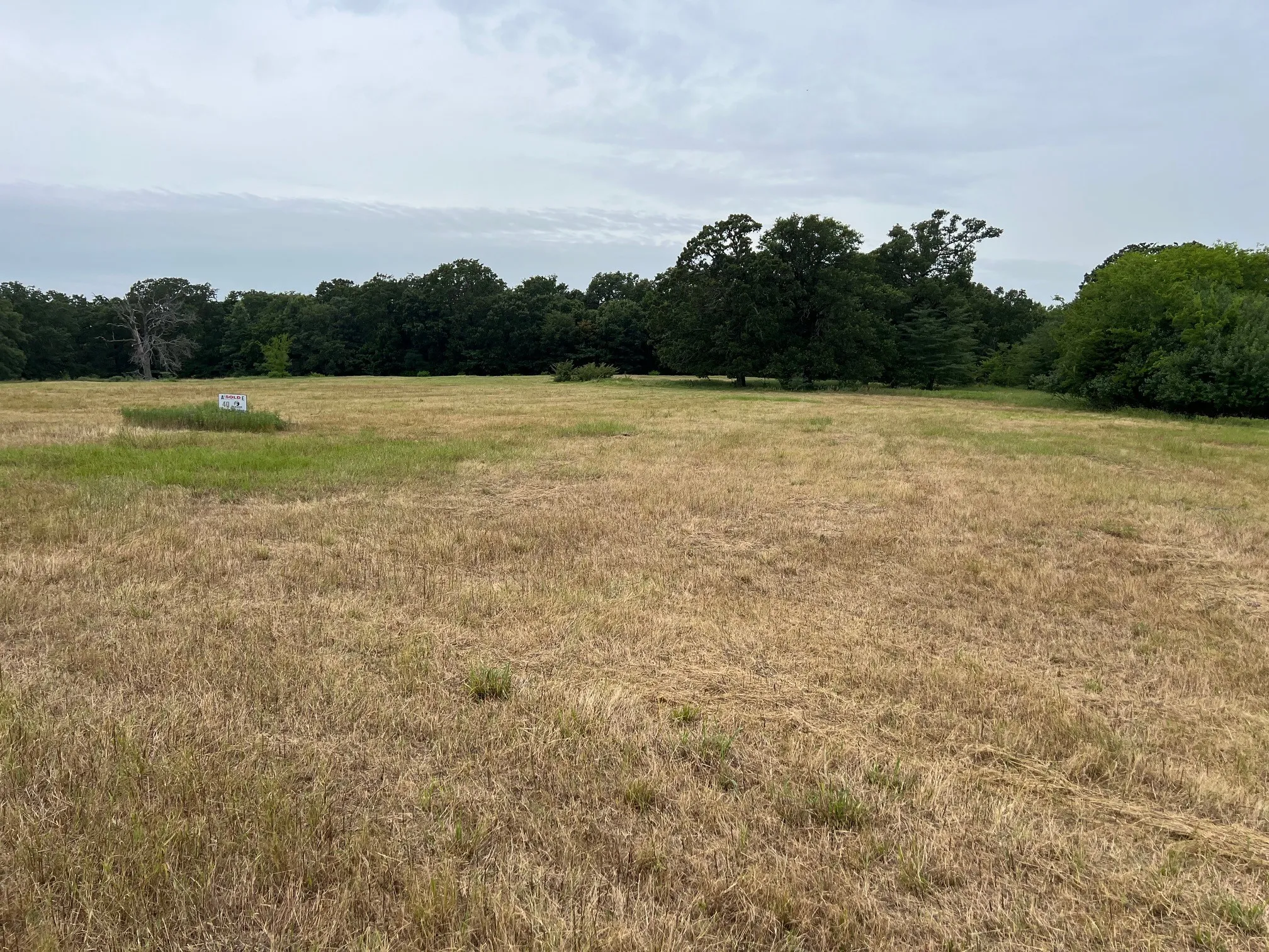 Improved Land For Sale in Hopkins County , 000 County Road 3512, Dike, Texas 75437, 0, 0, Garage spaces, 0 Sqft, built in 0, Price $60,000, mls#21030651, Real Estate Agent in Dike, Homes For Sale in Hopkins county, Homes For Sale in Dike, Realtor in Dike Texas, Real Estate Brokerage Independent Realty Texas, Luminita Cordes Realtor