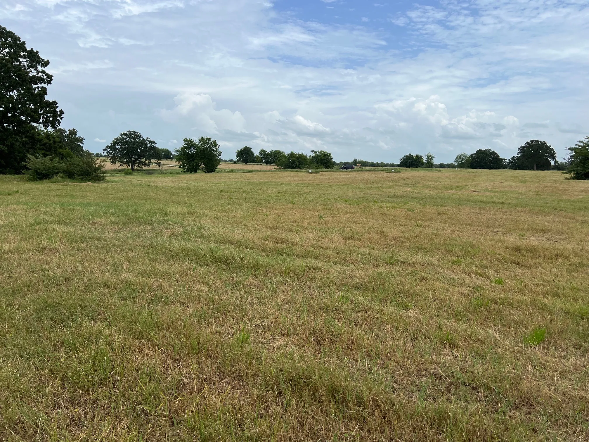 Improved Land For Sale in Hopkins County , 000 County Road 3512, Dike, Texas 75437, 0, 0, Garage spaces, 0 Sqft, built in 0, Price $60,000, mls#21030651, Real Estate Agent in Dike, Homes For Sale in Hopkins county, Homes For Sale in Dike, Realtor in Dike Texas, Real Estate Brokerage Independent Realty Texas, Luminita Cordes Realtor