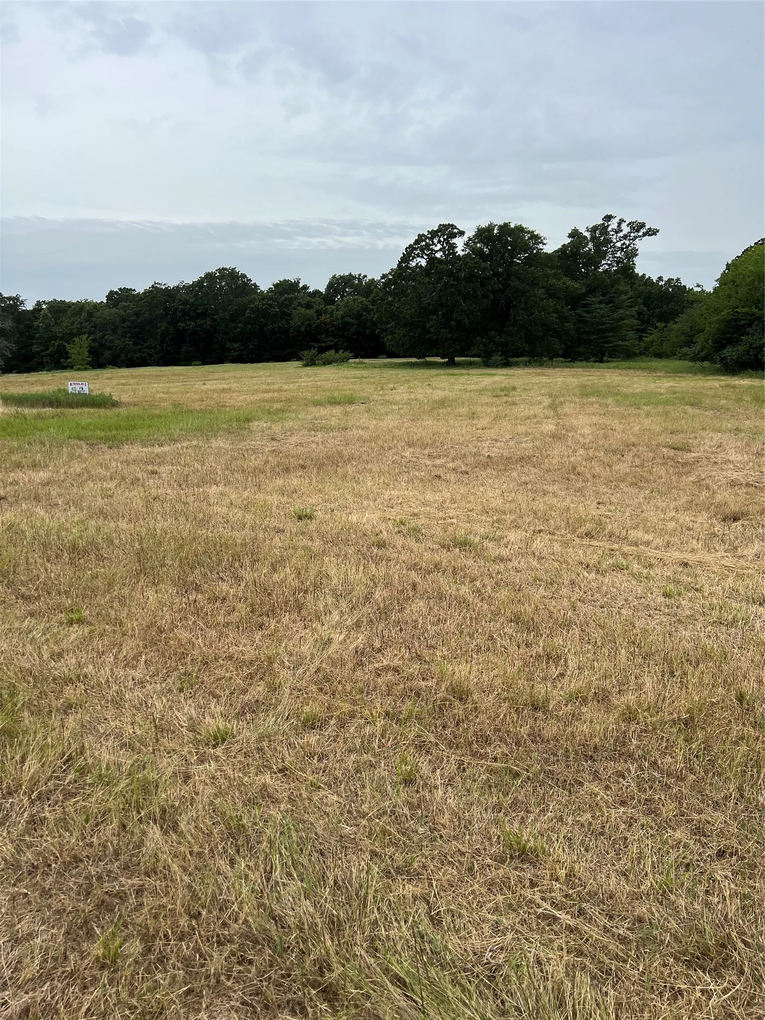 Improved Land For Sale in Hopkins County , 000 County Road 3512, Dike, Texas 75437, 0, 0, Garage spaces, 0 Sqft, built in 0, Price $60,000, mls#21030651, Real Estate Agent in Dike, Homes For Sale in Hopkins county, Homes For Sale in Dike, Realtor in Dike Texas, Real Estate Brokerage Independent Realty Texas, Luminita Cordes Realtor