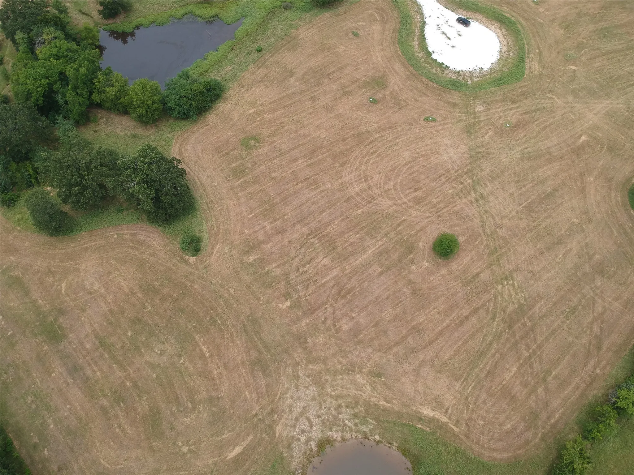 Improved Land For Sale in Hopkins County , 000 County Road 3512, Dike, Texas 75437, 0, 0, Garage spaces, 0 Sqft, built in 0, Price $60,000, mls#21030651, Real Estate Agent in Dike, Homes For Sale in Hopkins county, Homes For Sale in Dike, Realtor in Dike Texas, Real Estate Brokerage Independent Realty Texas, Luminita Cordes Realtor