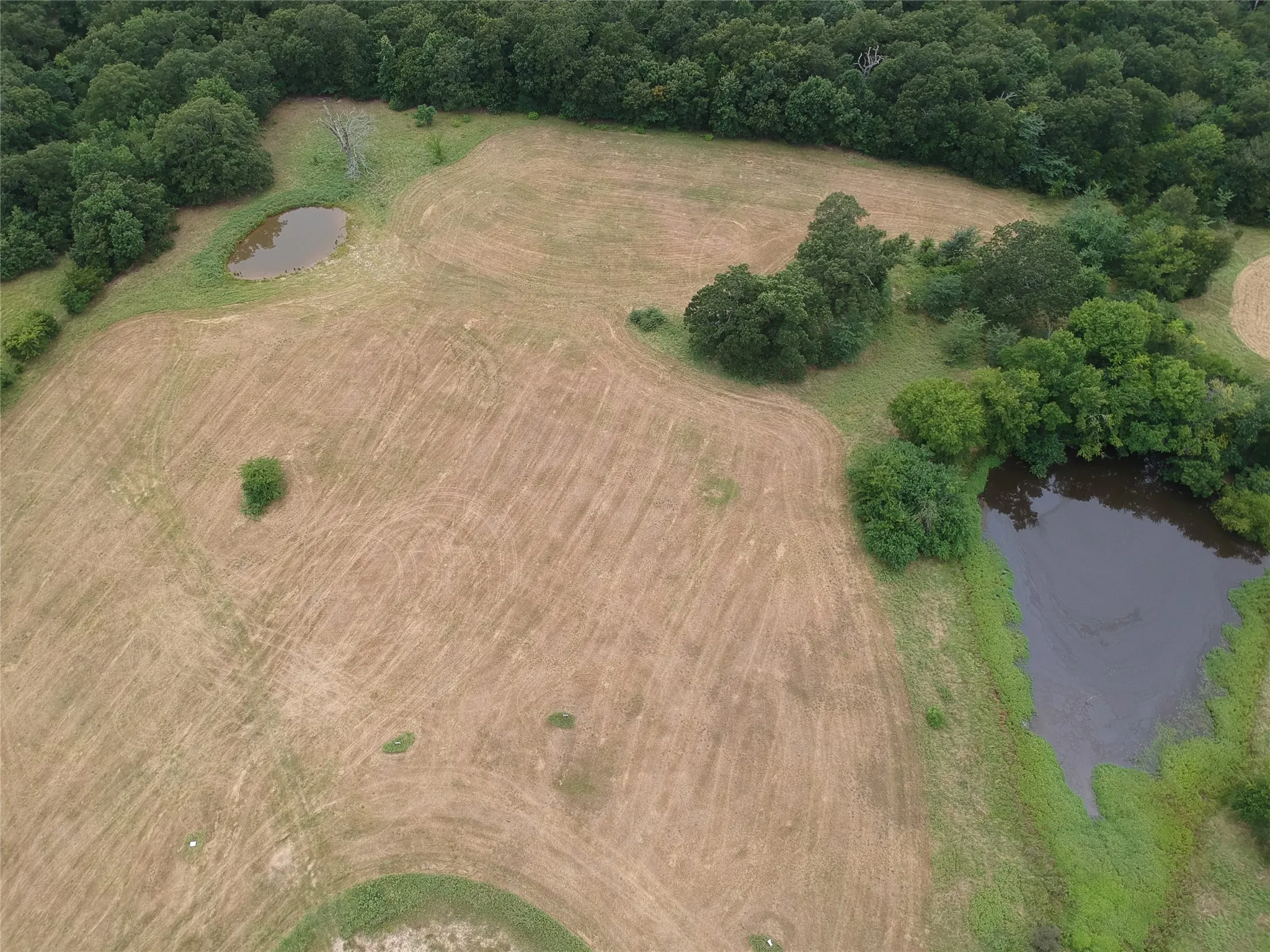 Improved Land For Sale in Hopkins County , 000 County Road 3512, Dike, Texas 75437, 0, 0, Garage spaces, 0 Sqft, built in 0, Price $60,000, mls#21030651, Real Estate Agent in Dike, Homes For Sale in Hopkins county, Homes For Sale in Dike, Realtor in Dike Texas, Real Estate Brokerage Independent Realty Texas, Luminita Cordes Realtor