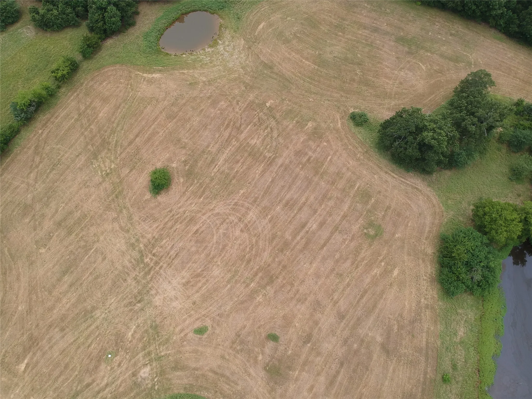 Improved Land For Sale in Hopkins County , 000 County Road 3512, Dike, Texas 75437, 0, 0, Garage spaces, 0 Sqft, built in 0, Price $60,000, mls#21030651, Real Estate Agent in Dike, Homes For Sale in Hopkins county, Homes For Sale in Dike, Realtor in Dike Texas, Real Estate Brokerage Independent Realty Texas, Luminita Cordes Realtor