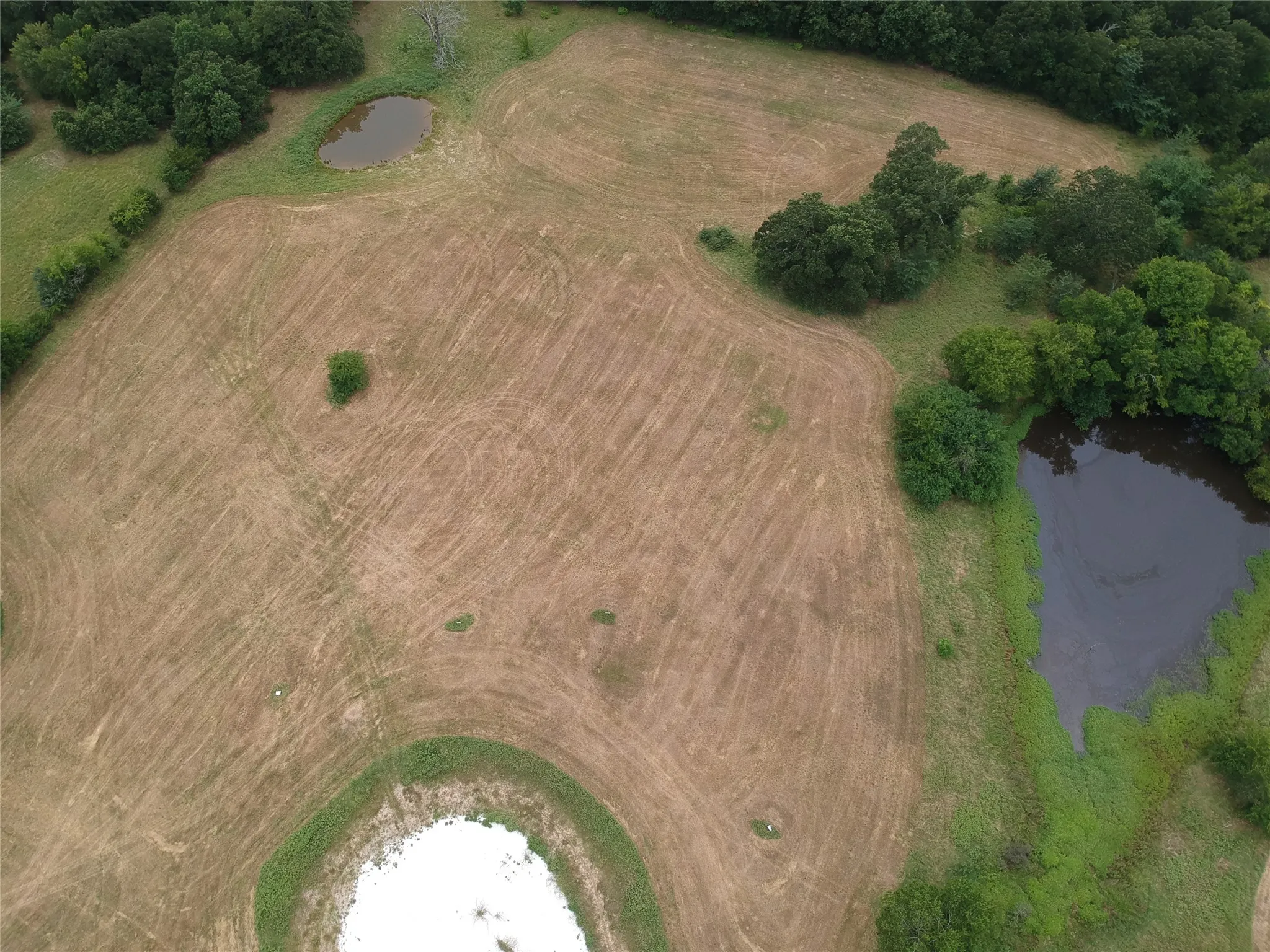 Improved Land For Sale in Hopkins County , 000 County Road 3512, Dike, Texas 75437, 0, 0, Garage spaces, 0 Sqft, built in 0, Price $60,000, mls#21030651, Real Estate Agent in Dike, Homes For Sale in Hopkins county, Homes For Sale in Dike, Realtor in Dike Texas, Real Estate Brokerage Independent Realty Texas, Luminita Cordes Realtor