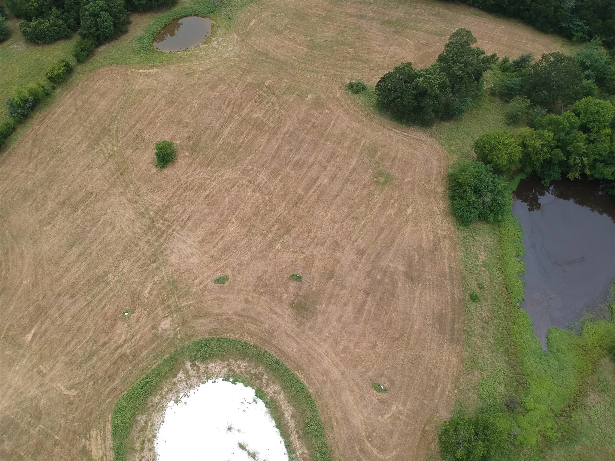 Improved Land For Sale in Hopkins County , 000 County Road 3512, Dike, Texas 75437, 0, 0, Garage spaces, 0 Sqft, built in 0, Price $60,000, mls#21030651, Real Estate Agent in Dike, Homes For Sale in Hopkins county, Homes For Sale in Dike, Realtor in Dike Texas, Real Estate Brokerage Independent Realty Texas, Luminita Cordes Realtor