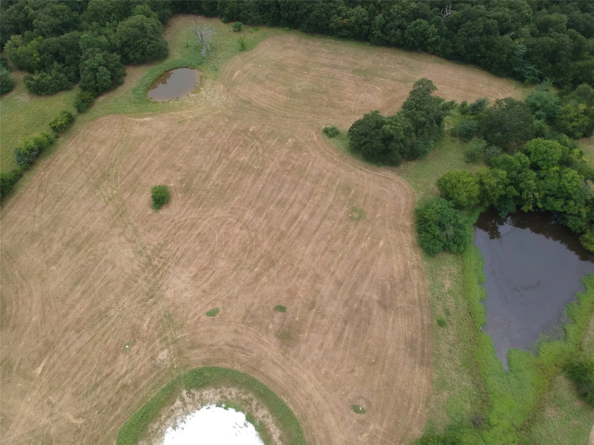Improved Land For Sale in Hopkins County , 000 County Road 3512, Dike, Texas 75437, 0, 0, Garage spaces, 0 Sqft, built in 0, Price $60,000, mls#21030651, Real Estate Agent in Dike, Homes For Sale in Hopkins county, Homes For Sale in Dike, Realtor in Dike Texas, Real Estate Brokerage Independent Realty Texas, Luminita Cordes Realtor