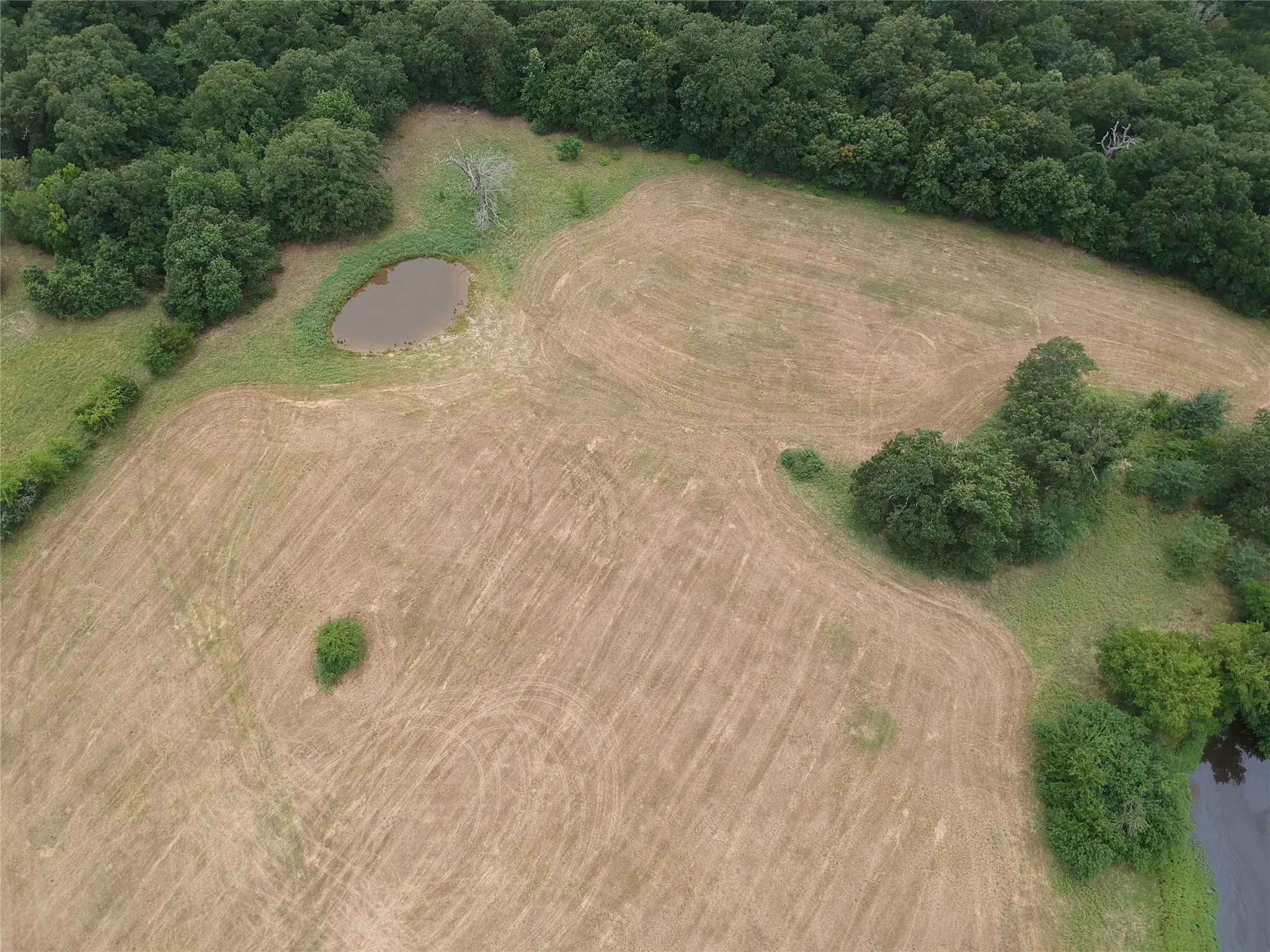 Improved Land For Sale in Hopkins County , 000 County Road 3512, Dike, Texas 75437, 0, 0, Garage spaces, 0 Sqft, built in 0, Price $60,000, mls#21030651, Real Estate Agent in Dike, Homes For Sale in Hopkins county, Homes For Sale in Dike, Realtor in Dike Texas, Real Estate Brokerage Independent Realty Texas, Luminita Cordes Realtor