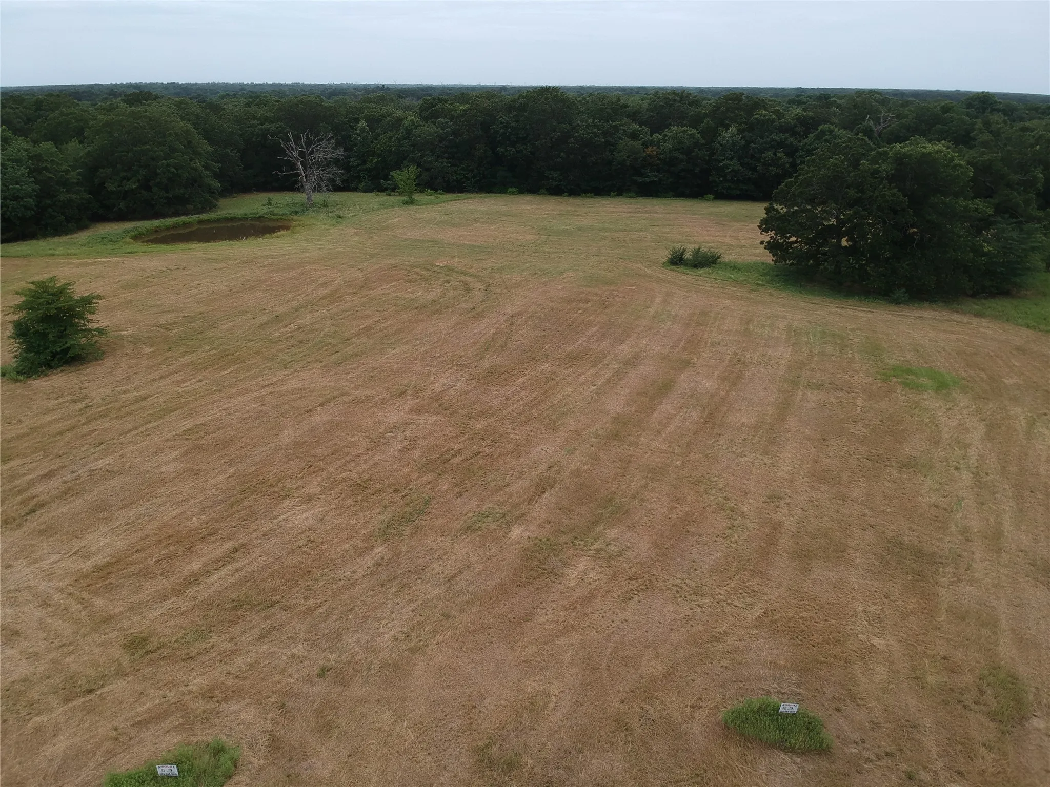 Improved Land For Sale in Hopkins County , 000 County Road 3512, Dike, Texas 75437, 0, 0, Garage spaces, 0 Sqft, built in 0, Price $60,000, mls#21030651, Real Estate Agent in Dike, Homes For Sale in Hopkins county, Homes For Sale in Dike, Realtor in Dike Texas, Real Estate Brokerage Independent Realty Texas, Luminita Cordes Realtor
