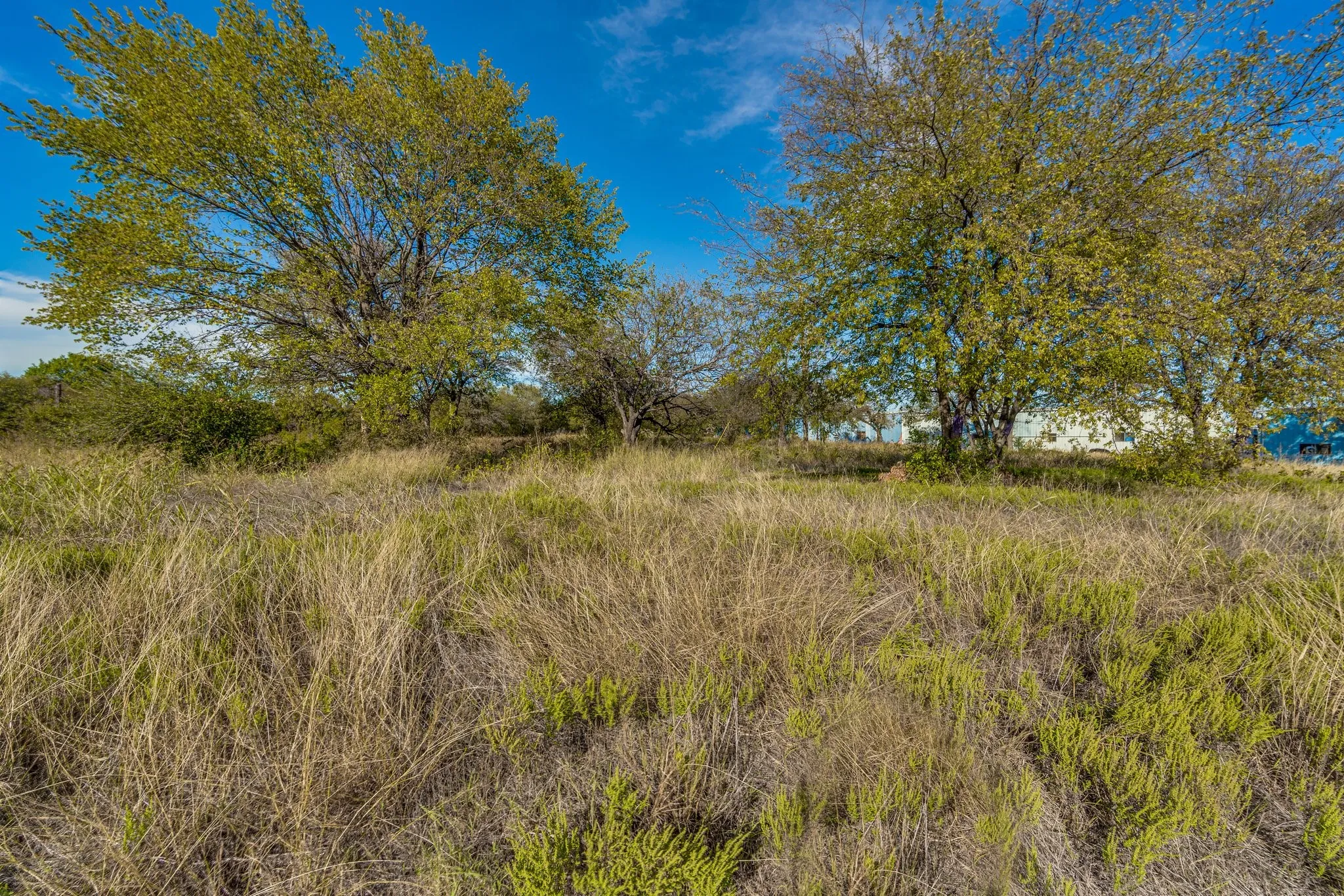 Unimproved Land For Sale in Ellis County , 2875 E Hwy 287, Midlothian, Texas 76065, 0, 0, Garage spaces, 0 Sqft, built in 0, Preowned, Price $1,400,000, mls#21030740, Real Estate Agent in Midlothian, Homes For Sale in Ellis county, Homes For Sale in Midlothian, Realtor in Midlothian Texas, Real Estate Brokerage Independent Realty Texas, Luminita Cordes Realtor