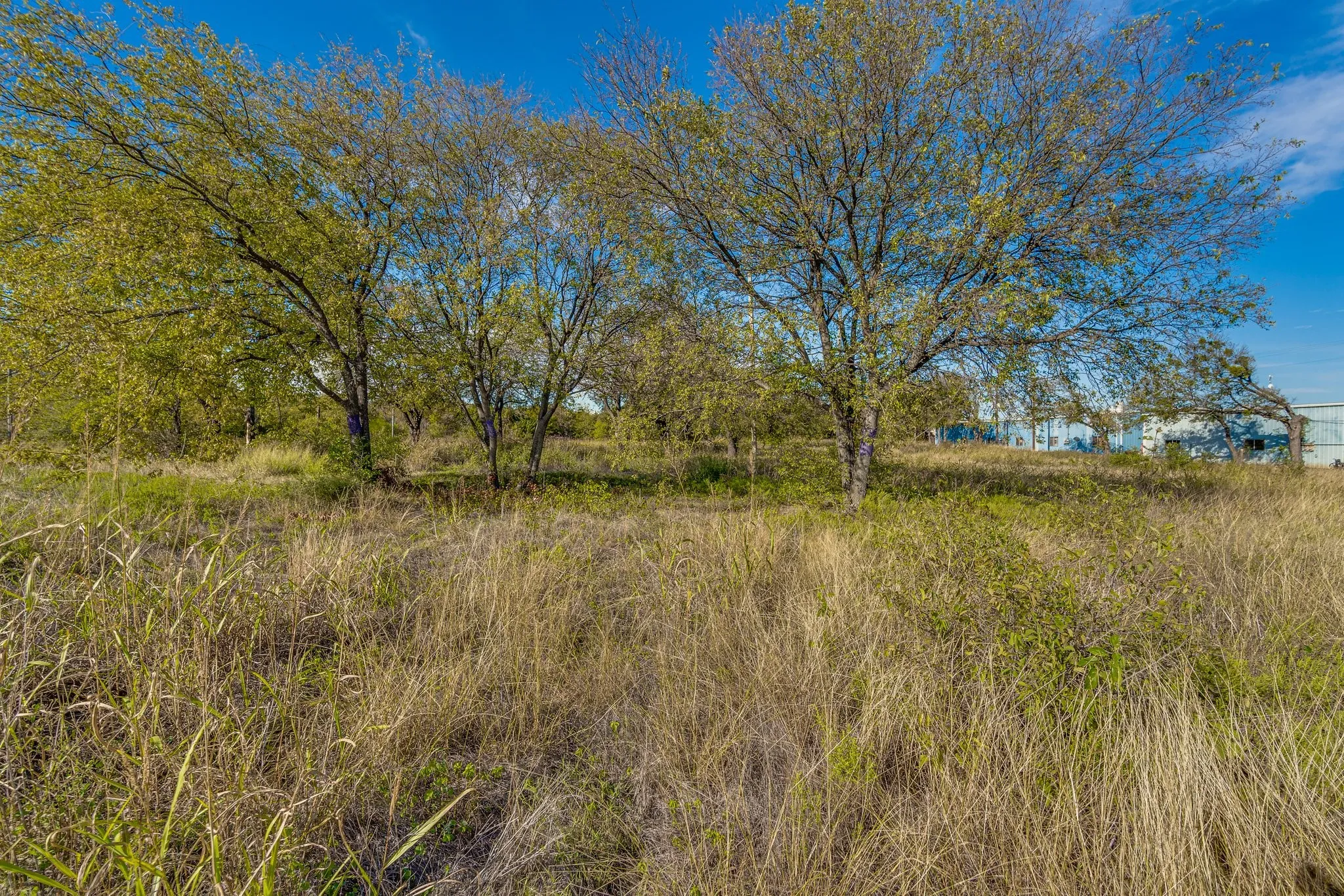 Unimproved Land For Sale in Ellis County , 2875 E Hwy 287, Midlothian, Texas 76065, 0, 0, Garage spaces, 0 Sqft, built in 0, Preowned, Price $1,400,000, mls#21030740, Real Estate Agent in Midlothian, Homes For Sale in Ellis county, Homes For Sale in Midlothian, Realtor in Midlothian Texas, Real Estate Brokerage Independent Realty Texas, Luminita Cordes Realtor