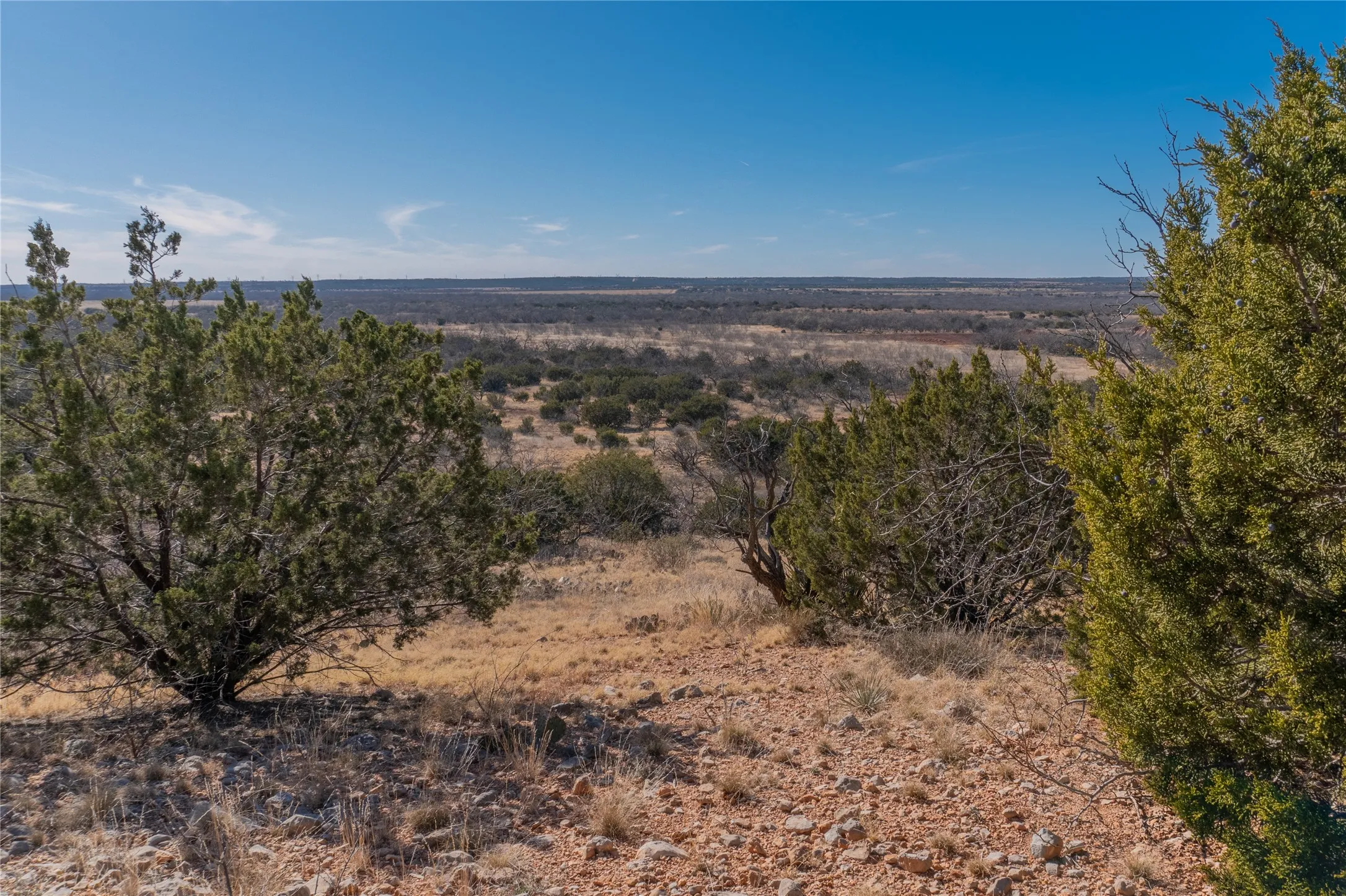 Ranch For Sale in Runnels County , T2 County Road 175, Winters, Texas 79567, 0, 0, Garage spaces, 0 Sqft, built in 0, Price $274,500, mls#21030855, Real Estate Agent in Winters, Homes For Sale in Runnels county, Homes For Sale in Winters, Realtor in Winters Texas, Real Estate Brokerage Independent Realty Texas, Luminita Cordes Realtor