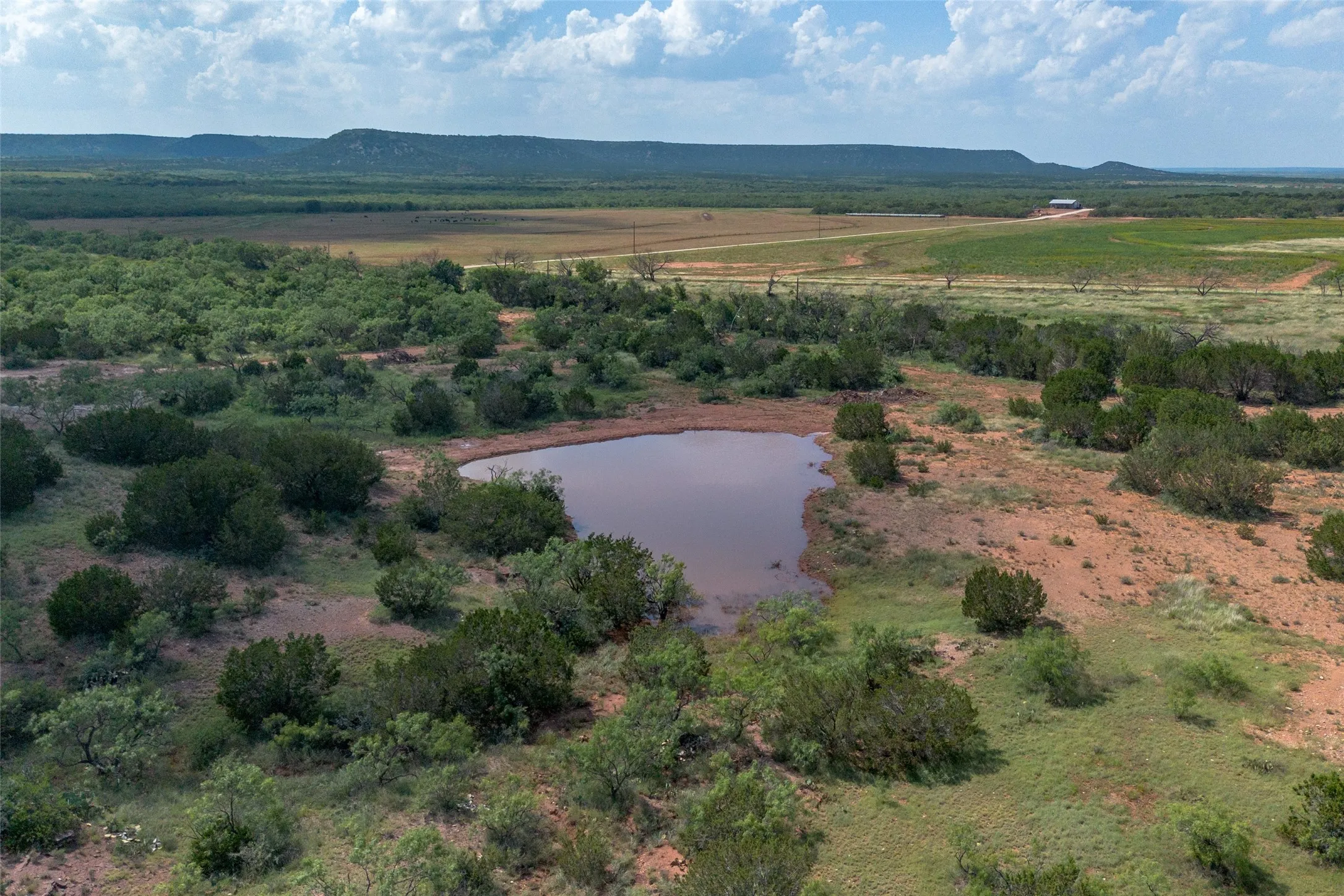 Ranch For Sale in Runnels County , T2 County Road 175, Winters, Texas 79567, 0, 0, Garage spaces, 0 Sqft, built in 0, Price $274,500, mls#21030855, Real Estate Agent in Winters, Homes For Sale in Runnels county, Homes For Sale in Winters, Realtor in Winters Texas, Real Estate Brokerage Independent Realty Texas, Luminita Cordes Realtor