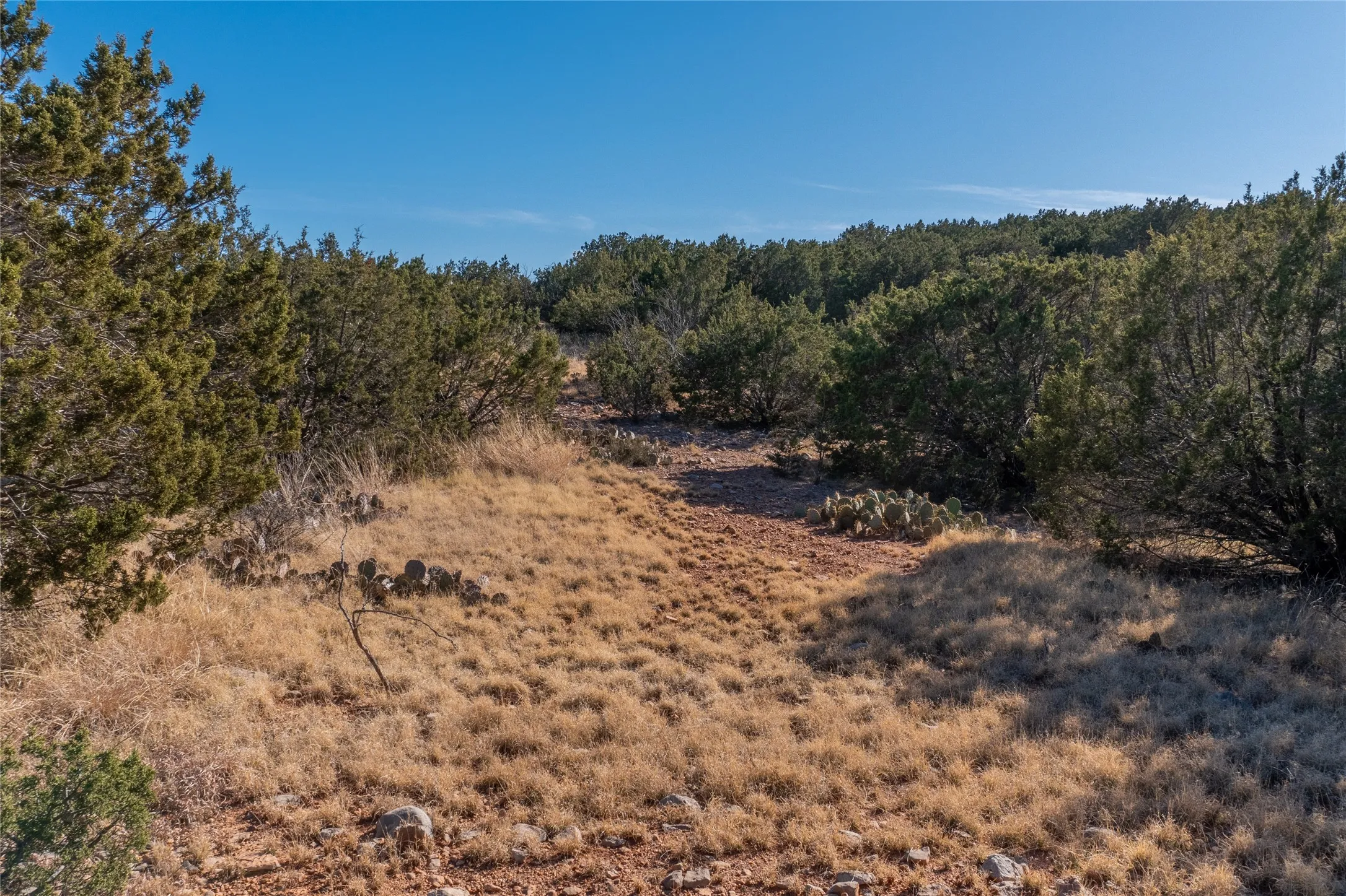 Ranch For Sale in Runnels County , T2 County Road 175, Winters, Texas 79567, 0, 0, Garage spaces, 0 Sqft, built in 0, Price $274,500, mls#21030855, Real Estate Agent in Winters, Homes For Sale in Runnels county, Homes For Sale in Winters, Realtor in Winters Texas, Real Estate Brokerage Independent Realty Texas, Luminita Cordes Realtor