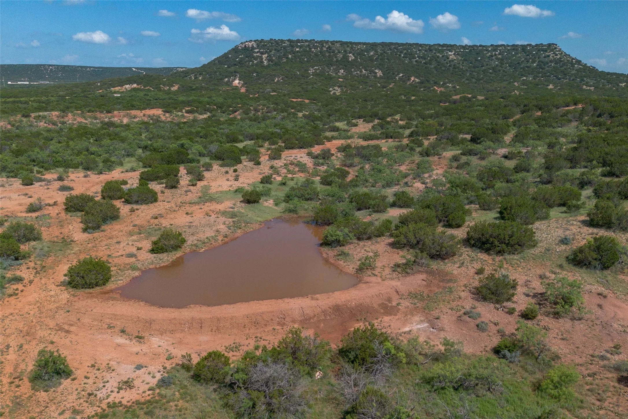 Ranch For Sale in Runnels County , T2 County Road 175, Winters, Texas 79567, 0, 0, Garage spaces, 0 Sqft, built in 0, Price $274,500, mls#21030855, Real Estate Agent in Winters, Homes For Sale in Runnels county, Homes For Sale in Winters, Realtor in Winters Texas, Real Estate Brokerage Independent Realty Texas, Luminita Cordes Realtor