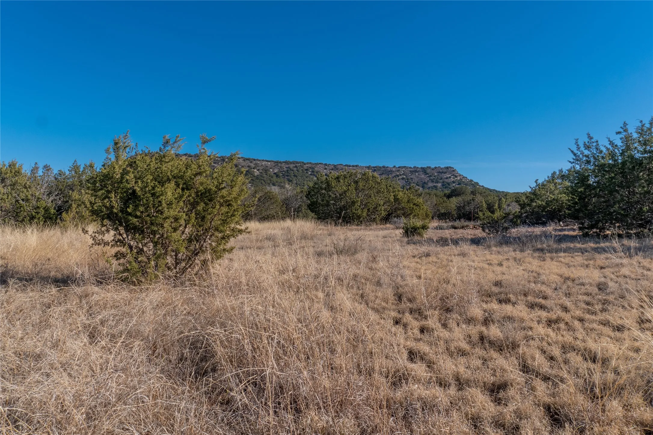 Ranch For Sale in Runnels County , T2 County Road 175, Winters, Texas 79567, 0, 0, Garage spaces, 0 Sqft, built in 0, Price $274,500, mls#21030855, Real Estate Agent in Winters, Homes For Sale in Runnels county, Homes For Sale in Winters, Realtor in Winters Texas, Real Estate Brokerage Independent Realty Texas, Luminita Cordes Realtor