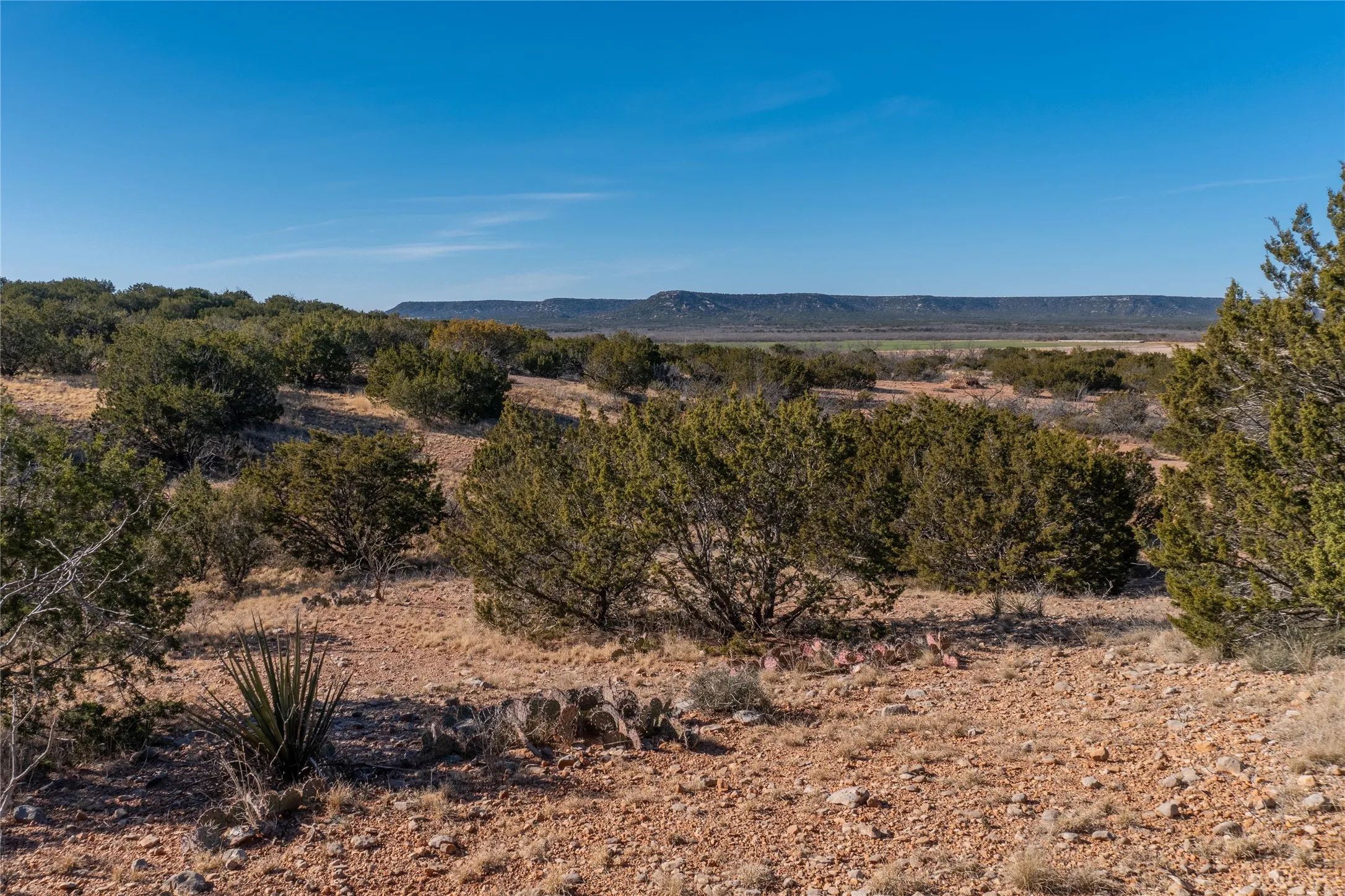 Ranch For Sale in Runnels County , T2 County Road 175, Winters, Texas 79567, 0, 0, Garage spaces, 0 Sqft, built in 0, Price $274,500, mls#21030855, Real Estate Agent in Winters, Homes For Sale in Runnels county, Homes For Sale in Winters, Realtor in Winters Texas, Real Estate Brokerage Independent Realty Texas, Luminita Cordes Realtor