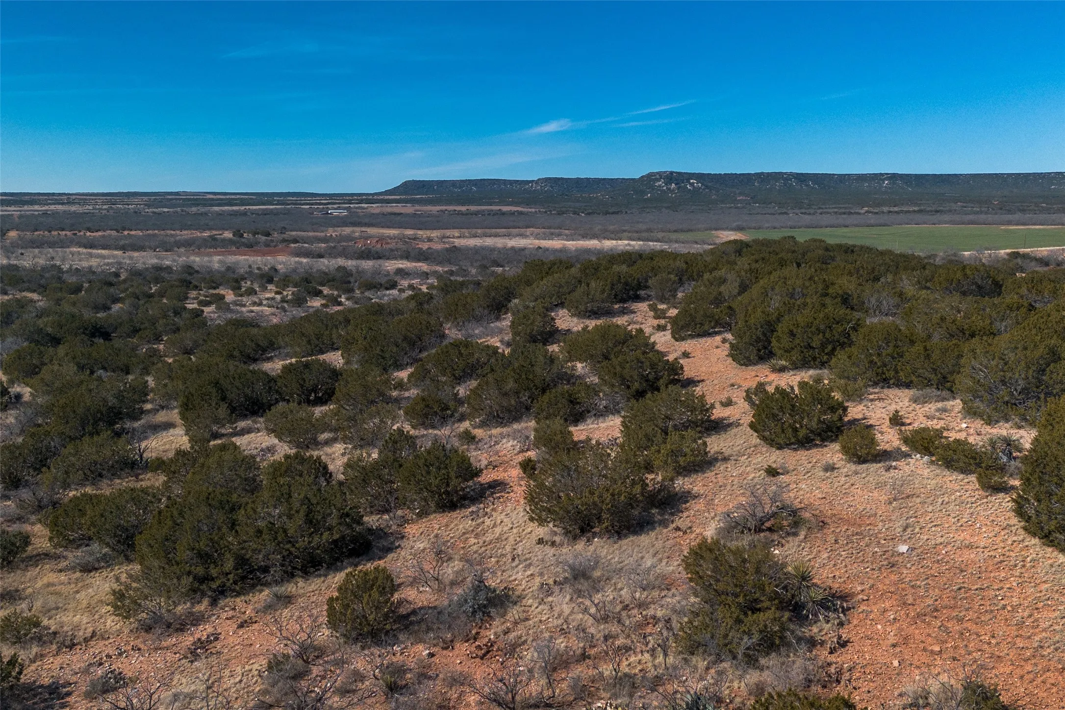 Ranch For Sale in Runnels County , T2 County Road 175, Winters, Texas 79567, 0, 0, Garage spaces, 0 Sqft, built in 0, Price $274,500, mls#21030855, Real Estate Agent in Winters, Homes For Sale in Runnels county, Homes For Sale in Winters, Realtor in Winters Texas, Real Estate Brokerage Independent Realty Texas, Luminita Cordes Realtor
