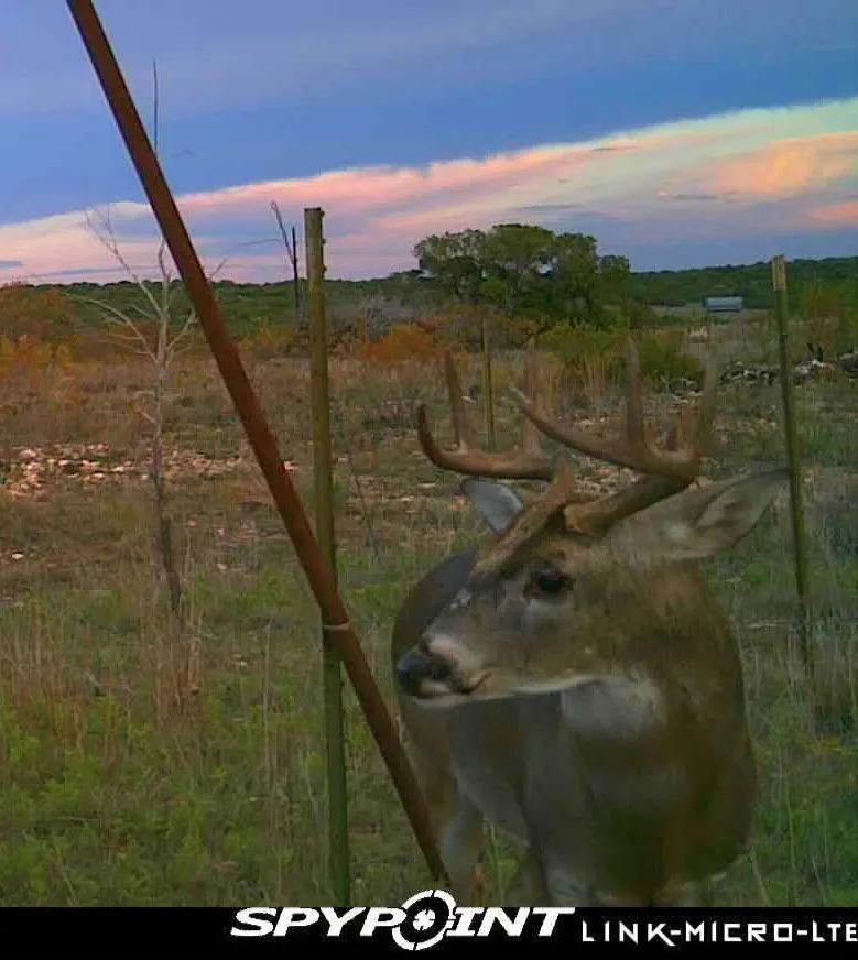 Ranch For Sale in Nolan County , 3402 County Road 196, Blackwell, Texas 79506, 0, 0, Garage spaces, 0 Sqft, built in 0, Price $925,000, mls#21030950, Real Estate Agent in Blackwell, Homes For Sale in Nolan county, Homes For Sale in Blackwell, Realtor in Blackwell Texas, Real Estate Brokerage Independent Realty Texas, Luminita Cordes Realtor