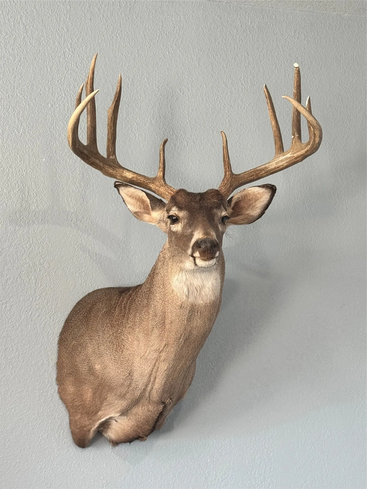 Ranch For Sale in Nolan County , 3402 County Road 196, Blackwell, Texas 79506, 0, 0, Garage spaces, 0 Sqft, built in 0, Price $925,000, mls#21030950, Real Estate Agent in Blackwell, Homes For Sale in Nolan county, Homes For Sale in Blackwell, Realtor in Blackwell Texas, Real Estate Brokerage Independent Realty Texas, Luminita Cordes Realtor