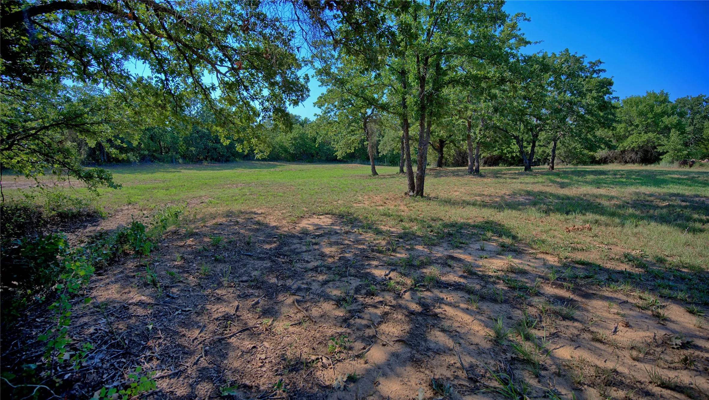 Unimproved Land For Sale in Montague County , 000 Pr 460, Nocona, Texas 76255, 0, 0, Garage spaces, 0 Sqft, built in 0, Price $690,000, mls#21031255, Real Estate Agent in Nocona, Homes For Sale in Montague county, Homes For Sale in Nocona, Realtor in Nocona Texas, Real Estate Brokerage Independent Realty Texas, Luminita Cordes Realtor