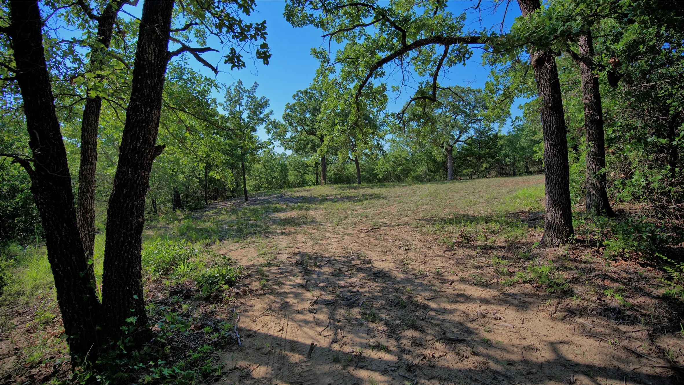 Unimproved Land For Sale in Montague County , 000 Pr 460, Nocona, Texas 76255, 0, 0, Garage spaces, 0 Sqft, built in 0, Price $690,000, mls#21031255, Real Estate Agent in Nocona, Homes For Sale in Montague county, Homes For Sale in Nocona, Realtor in Nocona Texas, Real Estate Brokerage Independent Realty Texas, Luminita Cordes Realtor