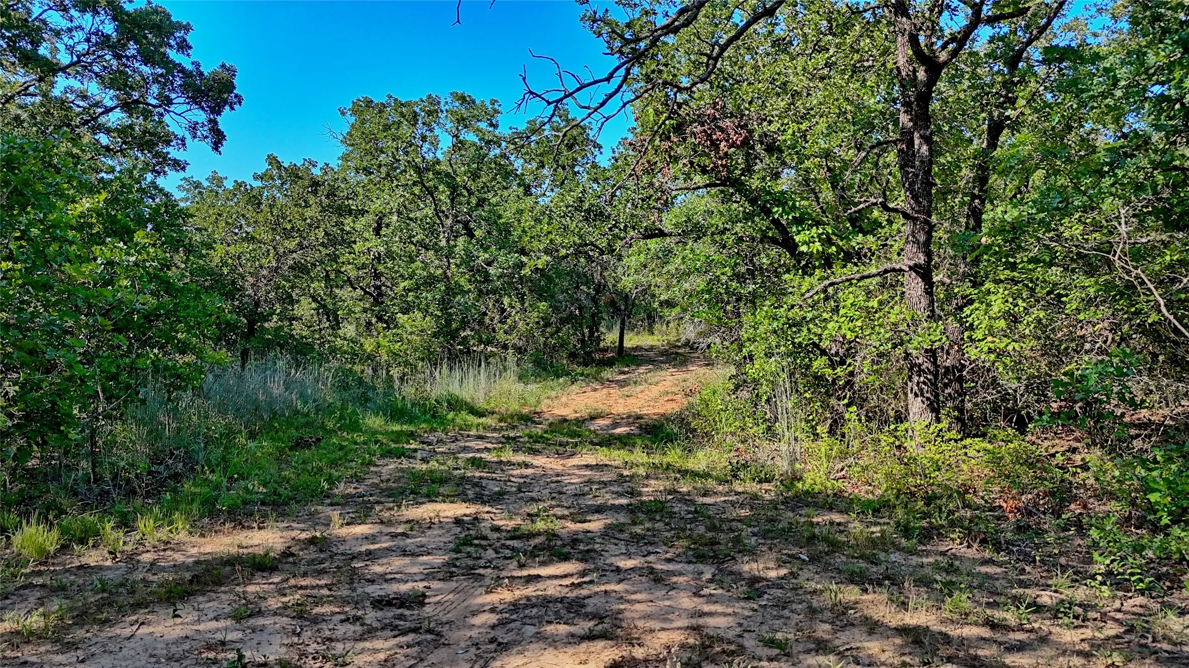 Unimproved Land For Sale in Montague County , 000 Pr 460, Nocona, Texas 76255, 0, 0, Garage spaces, 0 Sqft, built in 0, Price $690,000, mls#21031255, Real Estate Agent in Nocona, Homes For Sale in Montague county, Homes For Sale in Nocona, Realtor in Nocona Texas, Real Estate Brokerage Independent Realty Texas, Luminita Cordes Realtor