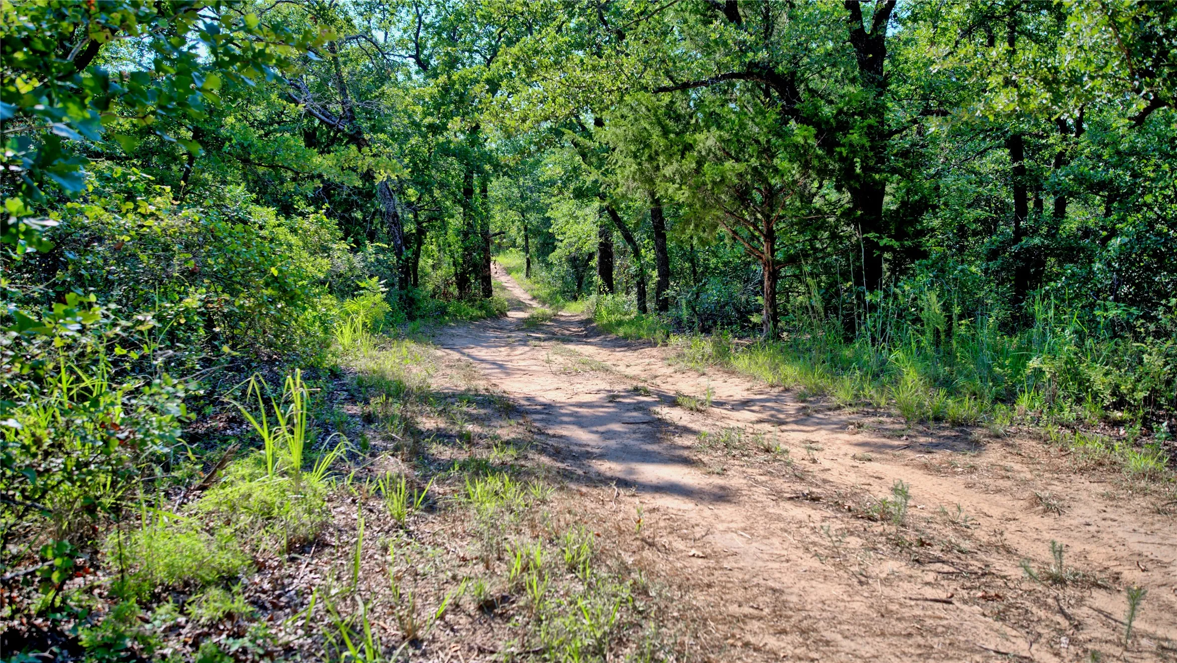 Unimproved Land For Sale in Montague County , 000 Pr 460, Nocona, Texas 76255, 0, 0, Garage spaces, 0 Sqft, built in 0, Price $690,000, mls#21031255, Real Estate Agent in Nocona, Homes For Sale in Montague county, Homes For Sale in Nocona, Realtor in Nocona Texas, Real Estate Brokerage Independent Realty Texas, Luminita Cordes Realtor