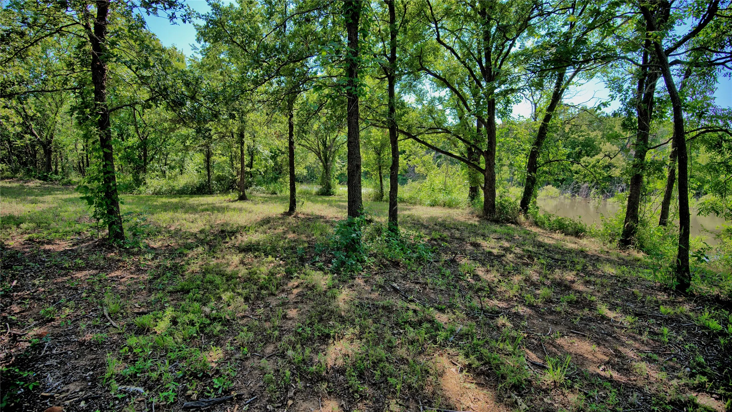 Unimproved Land For Sale in Montague County , 000 Pr 460, Nocona, Texas 76255, 0, 0, Garage spaces, 0 Sqft, built in 0, Price $690,000, mls#21031255, Real Estate Agent in Nocona, Homes For Sale in Montague county, Homes For Sale in Nocona, Realtor in Nocona Texas, Real Estate Brokerage Independent Realty Texas, Luminita Cordes Realtor