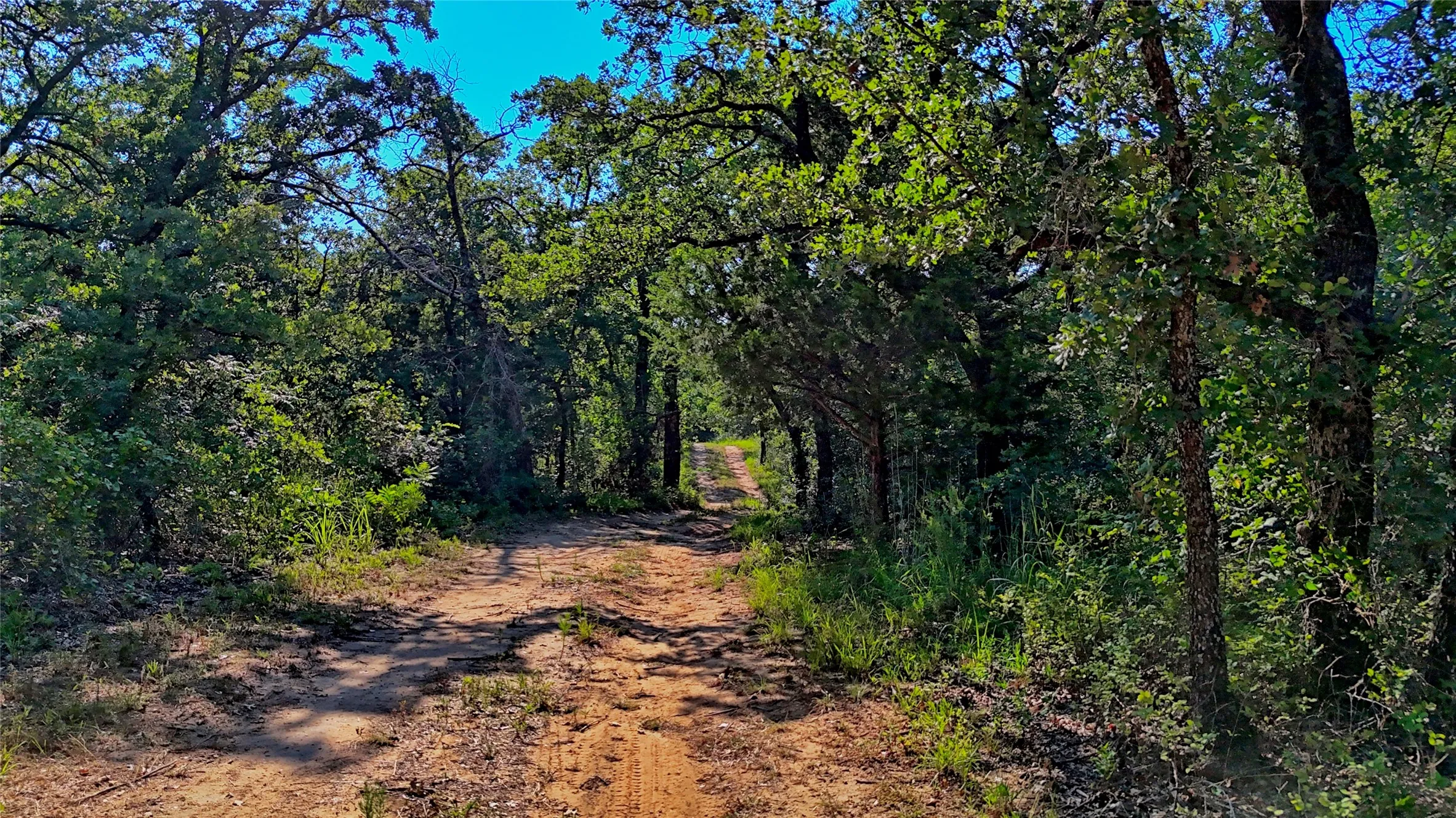 Unimproved Land For Sale in Montague County , 000 Pr 460, Nocona, Texas 76255, 0, 0, Garage spaces, 0 Sqft, built in 0, Price $690,000, mls#21031255, Real Estate Agent in Nocona, Homes For Sale in Montague county, Homes For Sale in Nocona, Realtor in Nocona Texas, Real Estate Brokerage Independent Realty Texas, Luminita Cordes Realtor