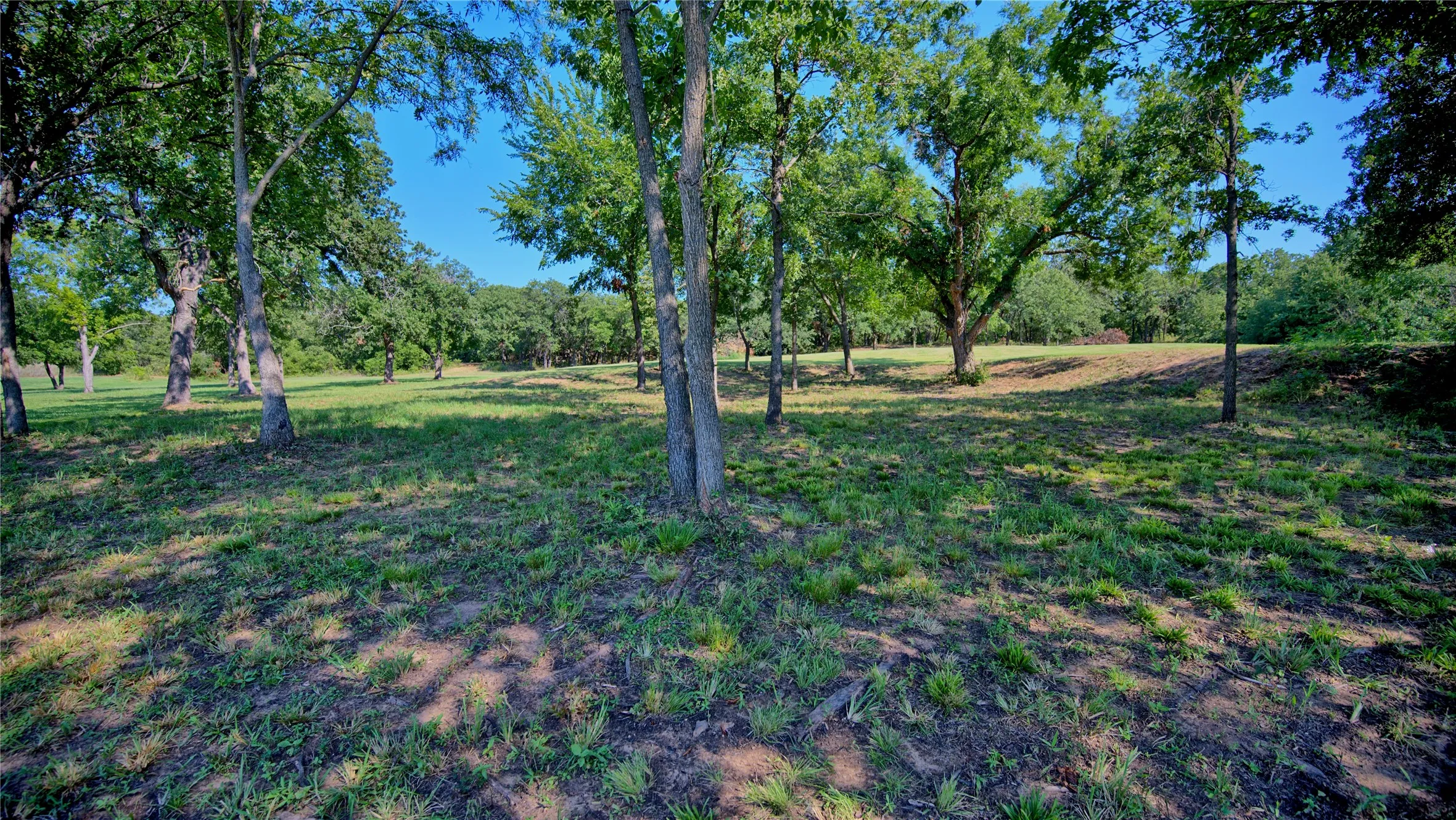 Unimproved Land For Sale in Montague County , 000 Pr 460, Nocona, Texas 76255, 0, 0, Garage spaces, 0 Sqft, built in 0, Price $690,000, mls#21031255, Real Estate Agent in Nocona, Homes For Sale in Montague county, Homes For Sale in Nocona, Realtor in Nocona Texas, Real Estate Brokerage Independent Realty Texas, Luminita Cordes Realtor