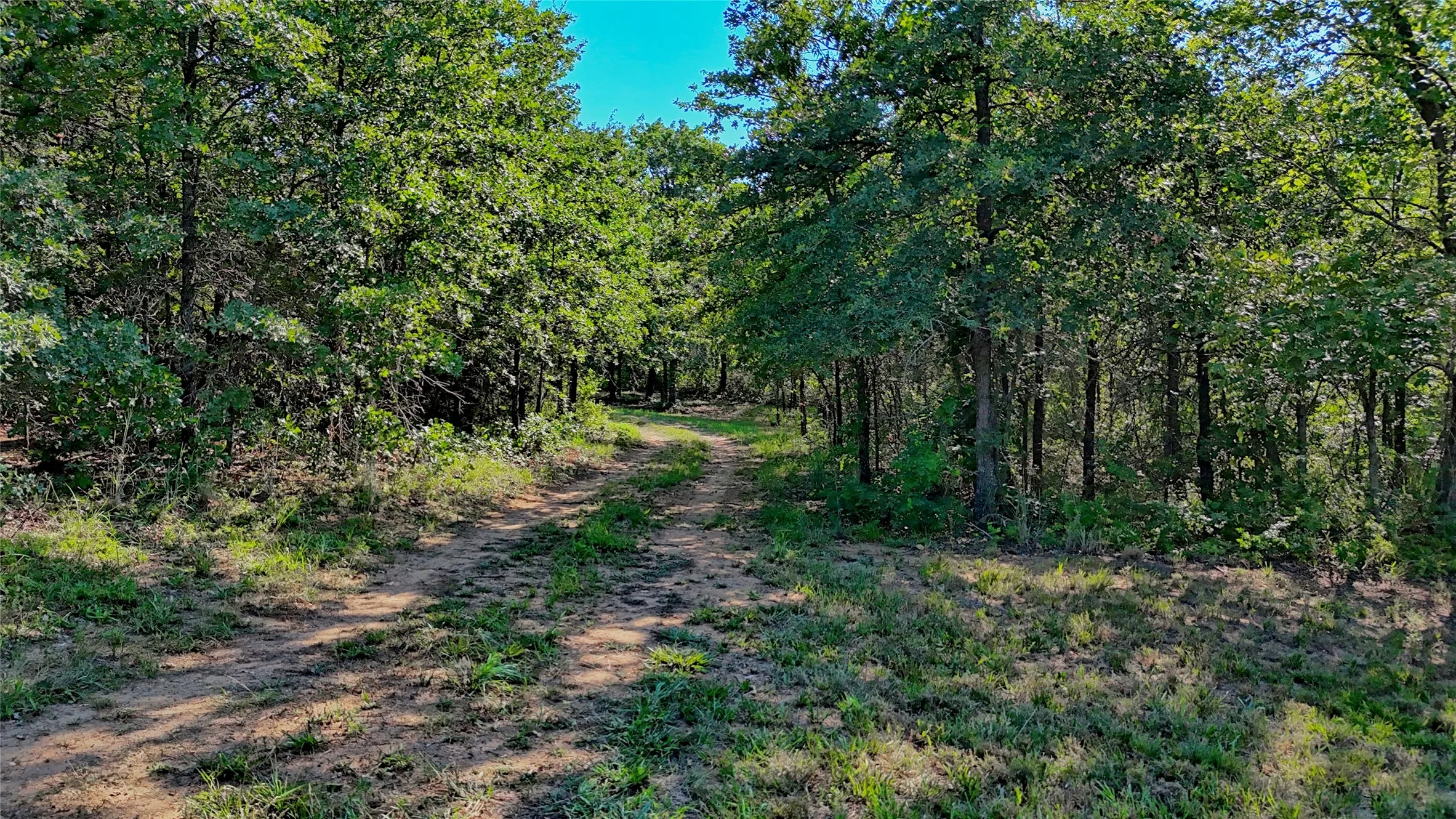 Unimproved Land For Sale in Montague County , 000 Pr 460, Nocona, Texas 76255, 0, 0, Garage spaces, 0 Sqft, built in 0, Price $690,000, mls#21031255, Real Estate Agent in Nocona, Homes For Sale in Montague county, Homes For Sale in Nocona, Realtor in Nocona Texas, Real Estate Brokerage Independent Realty Texas, Luminita Cordes Realtor