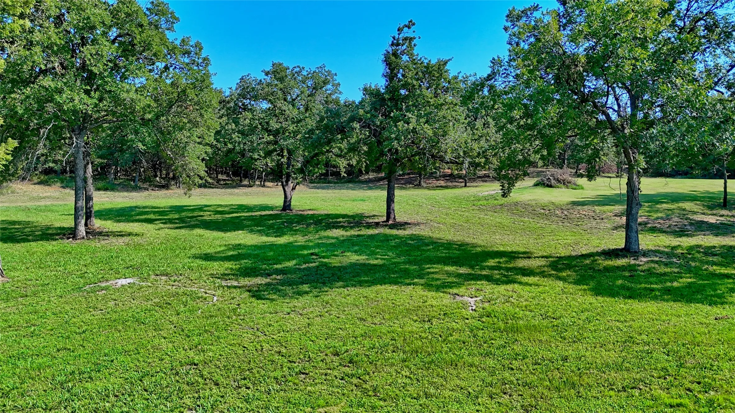 Unimproved Land For Sale in Montague County , 000 Pr 460, Nocona, Texas 76255, 0, 0, Garage spaces, 0 Sqft, built in 0, Price $690,000, mls#21031255, Real Estate Agent in Nocona, Homes For Sale in Montague county, Homes For Sale in Nocona, Realtor in Nocona Texas, Real Estate Brokerage Independent Realty Texas, Luminita Cordes Realtor