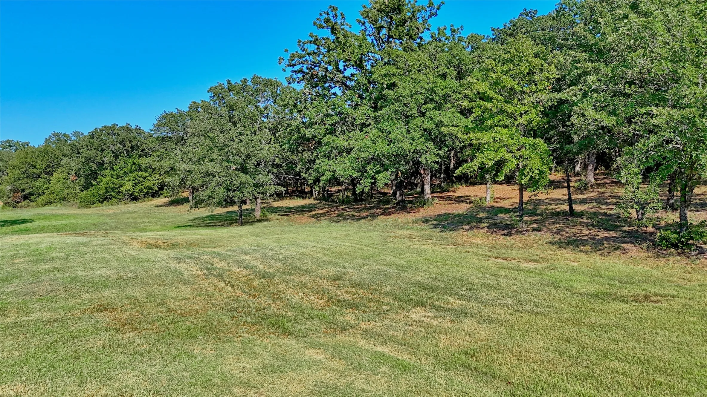 Unimproved Land For Sale in Montague County , 000 Pr 460, Nocona, Texas 76255, 0, 0, Garage spaces, 0 Sqft, built in 0, Price $690,000, mls#21031255, Real Estate Agent in Nocona, Homes For Sale in Montague county, Homes For Sale in Nocona, Realtor in Nocona Texas, Real Estate Brokerage Independent Realty Texas, Luminita Cordes Realtor
