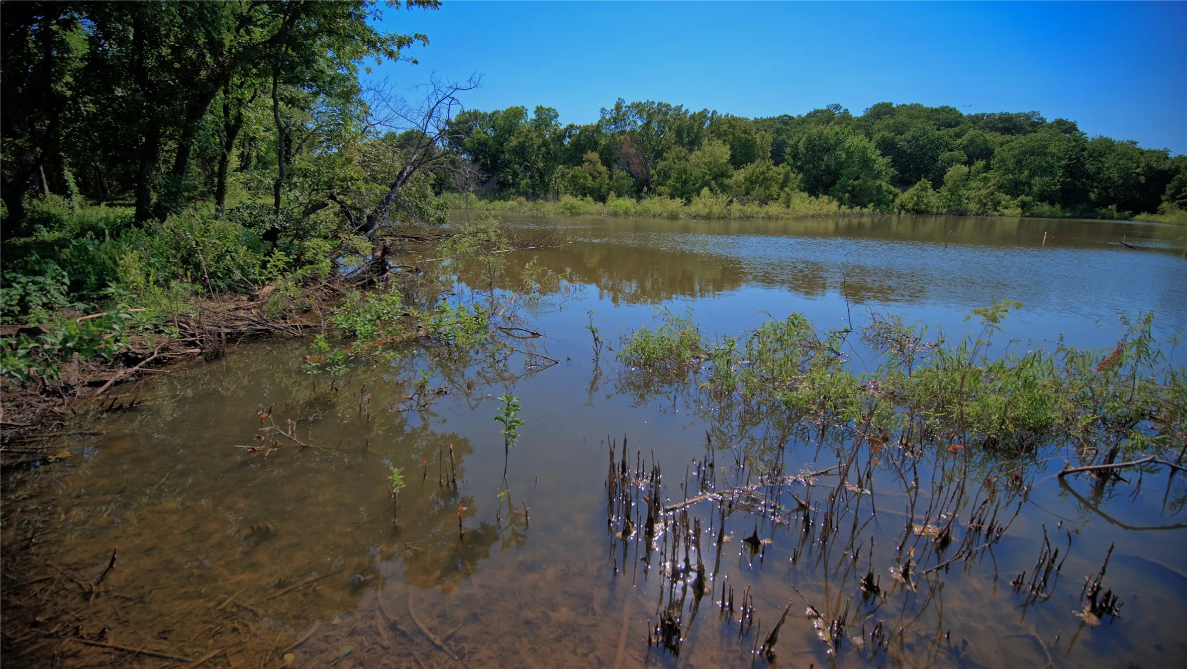 Unimproved Land For Sale in Montague County , 000 Pr 460, Nocona, Texas 76255, 0, 0, Garage spaces, 0 Sqft, built in 0, Price $690,000, mls#21031255, Real Estate Agent in Nocona, Homes For Sale in Montague county, Homes For Sale in Nocona, Realtor in Nocona Texas, Real Estate Brokerage Independent Realty Texas, Luminita Cordes Realtor