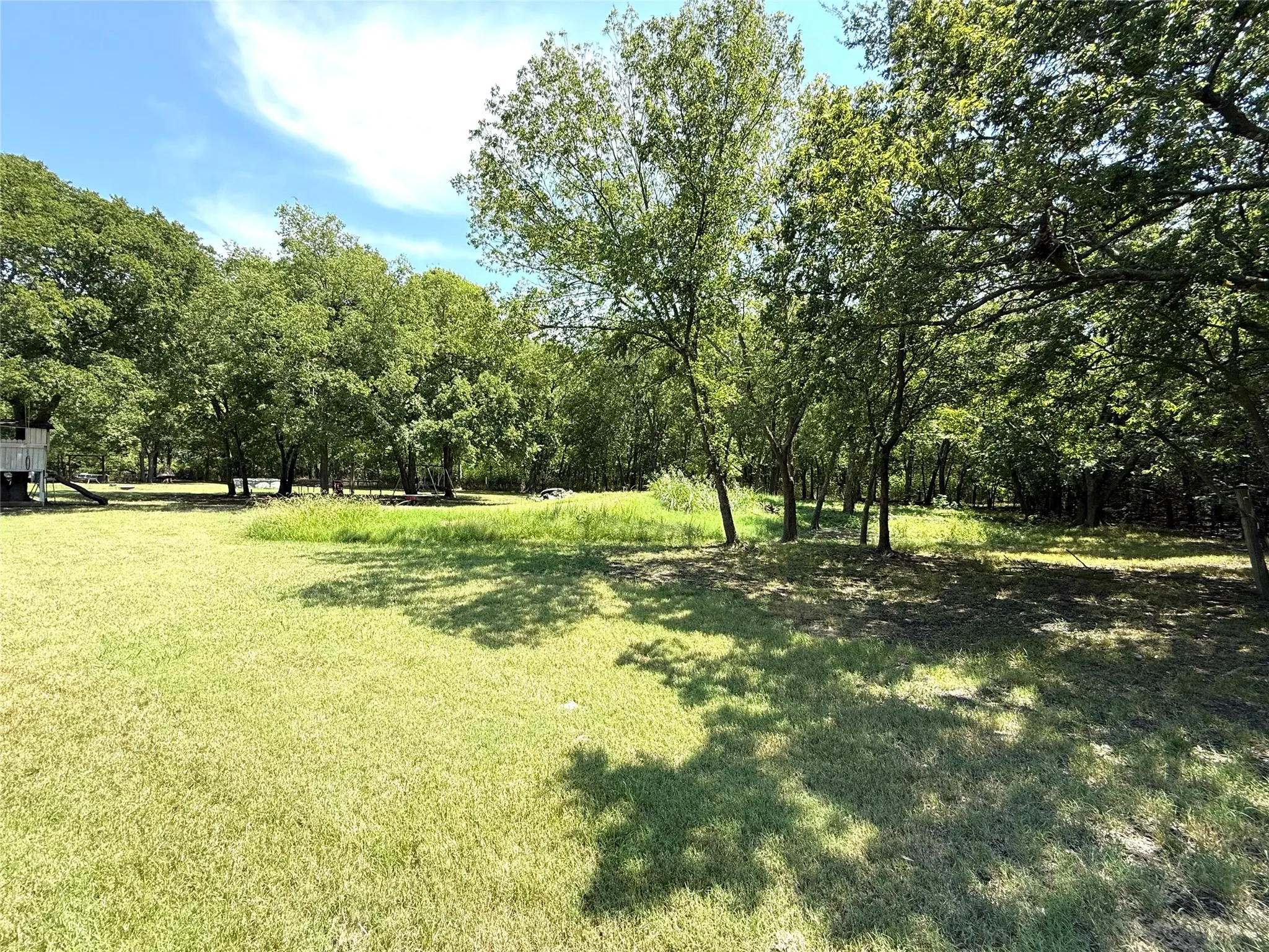 View of grassy yard