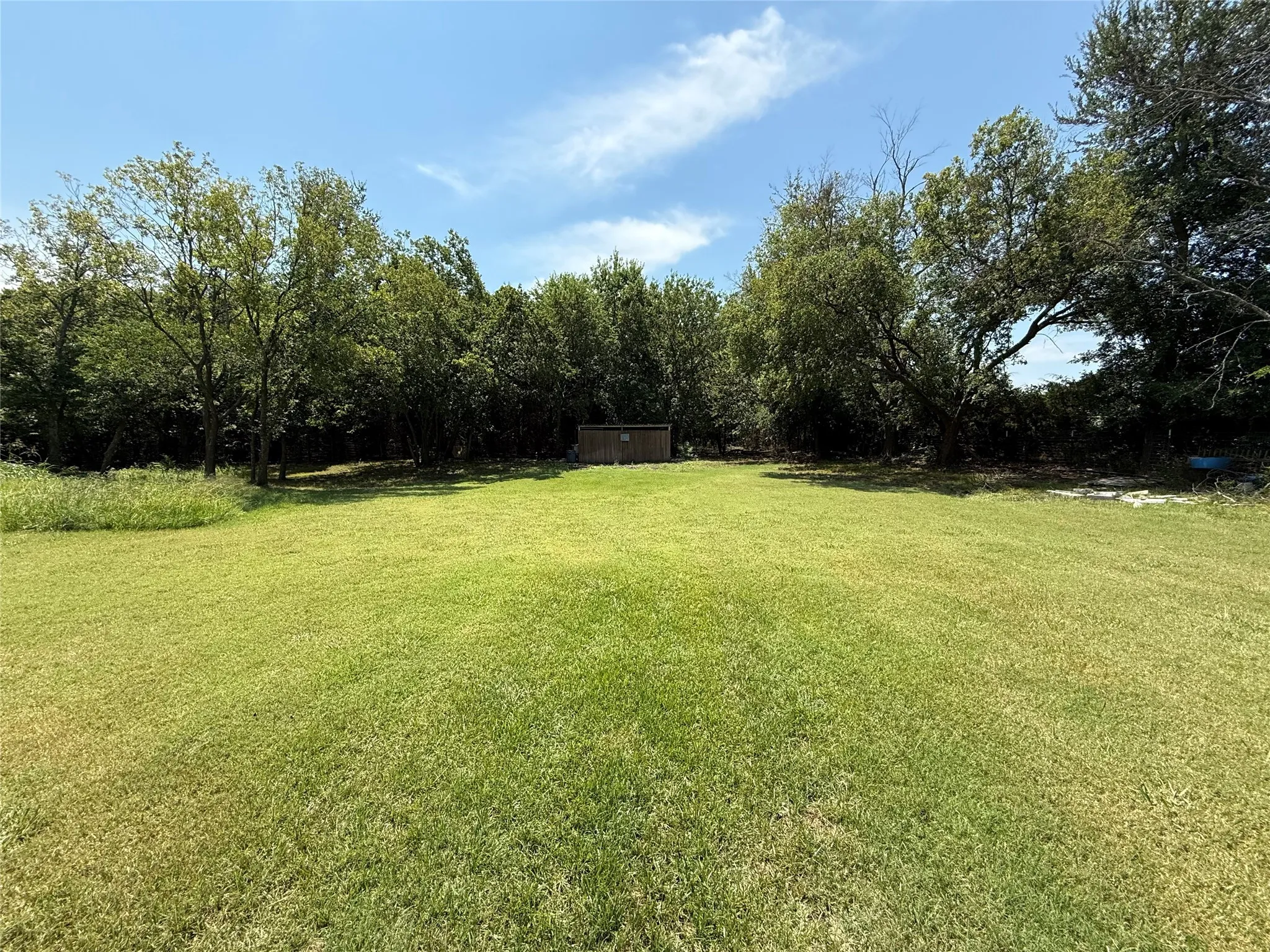 View of green lawn with a storage shed