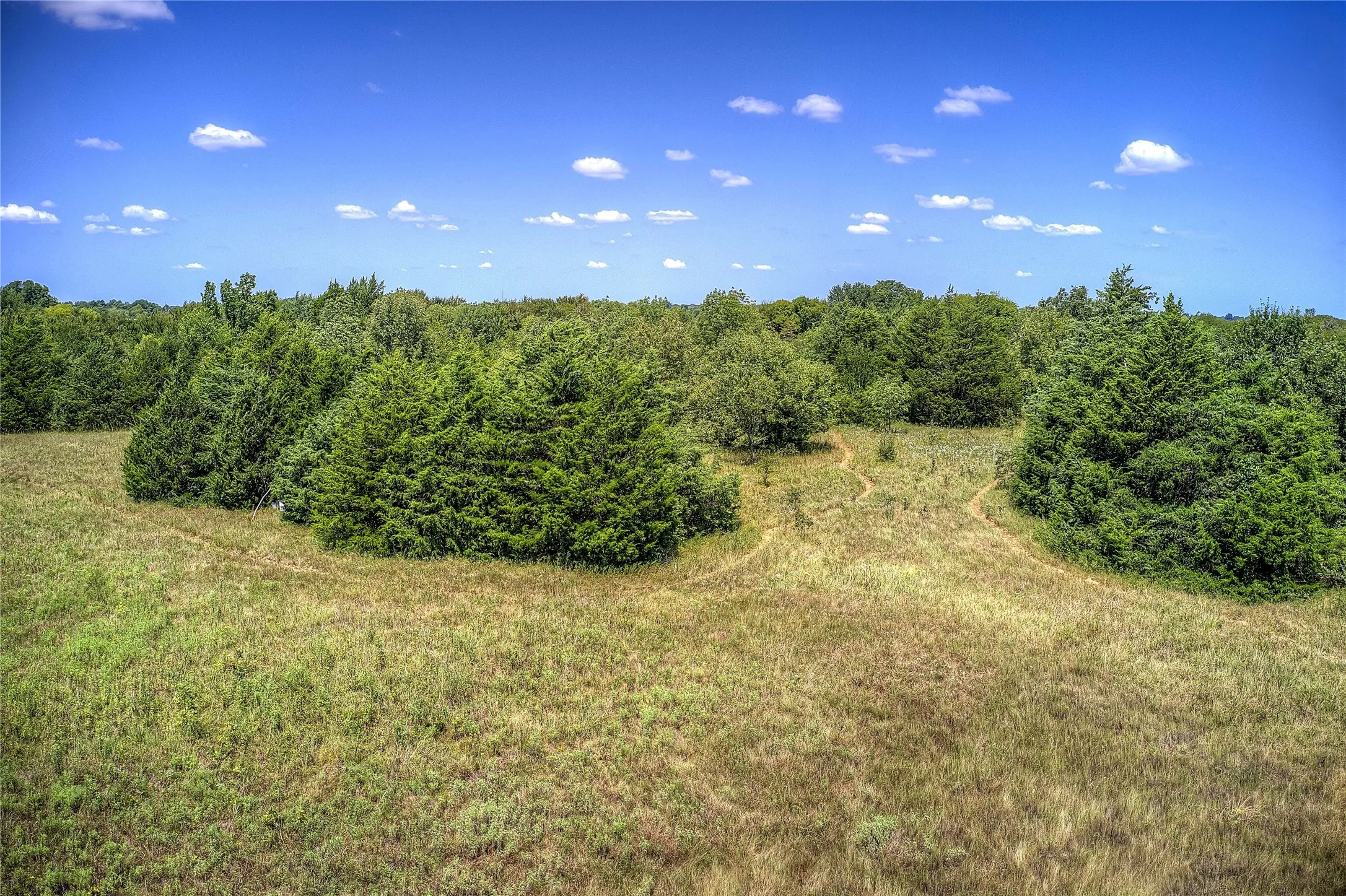 View of nature
