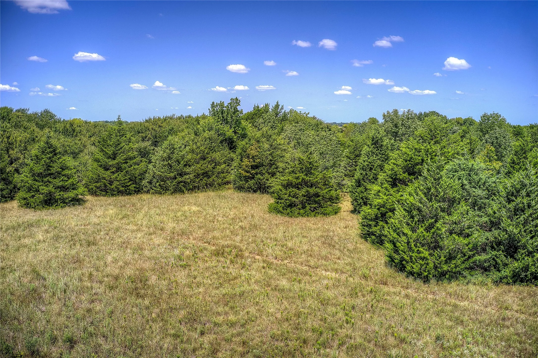 View of local wilderness