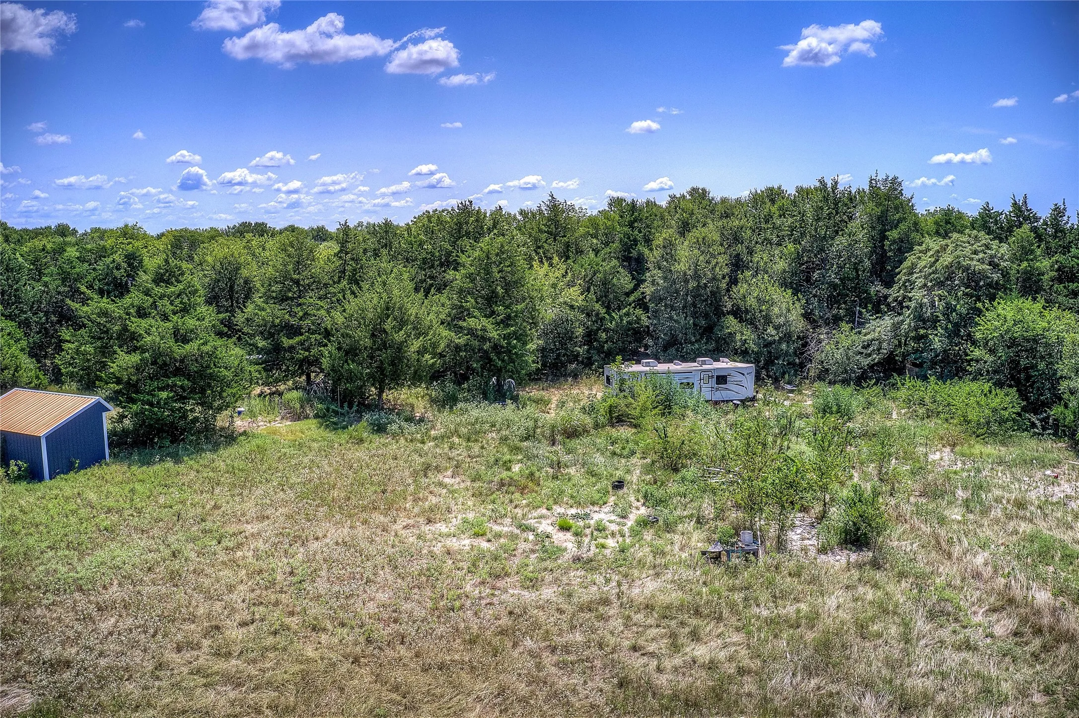 View of yard featuring a view of trees and a shed