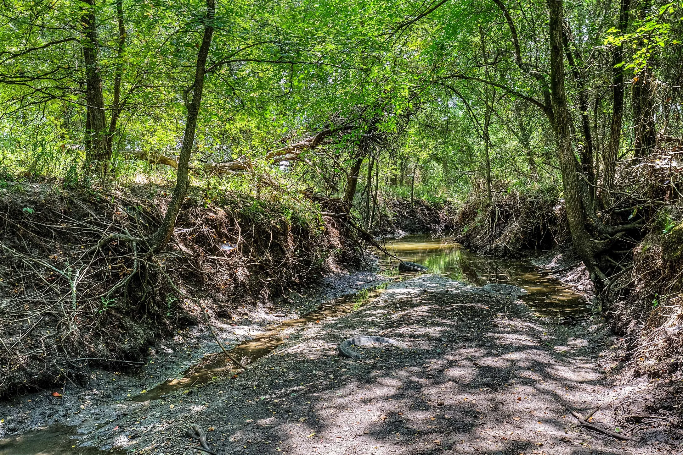 Deep creek bed!