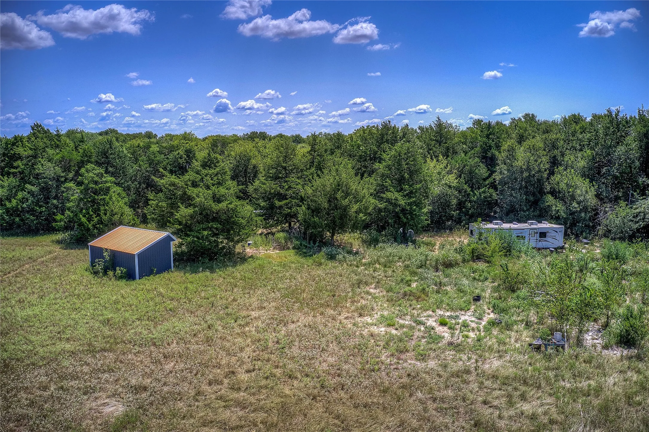 View of yard featuring a forest view and a storage shed