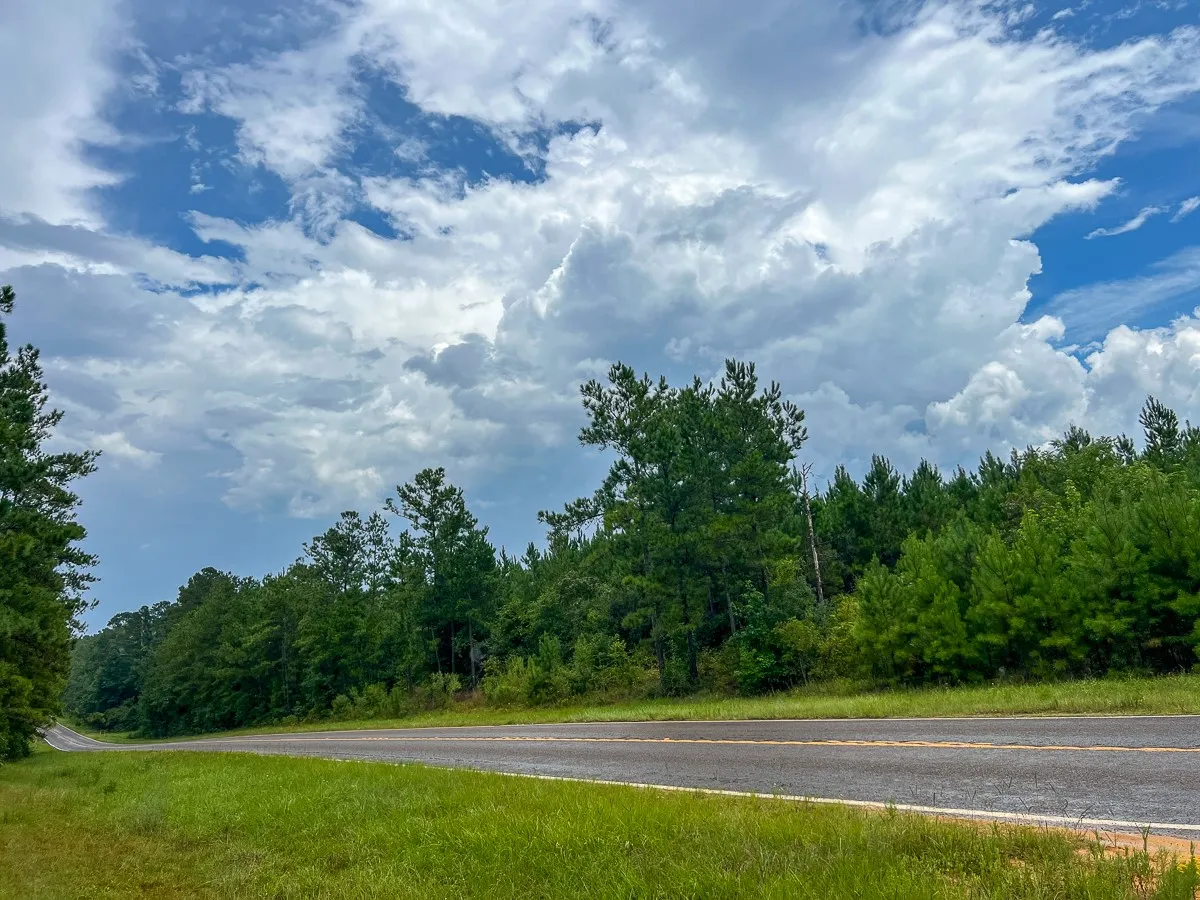 View of asphalt road with a forest​​‌​​​​‌​​‌‌​‌‌​​​‌‌​‌​‌​‌​​​‌​​ view