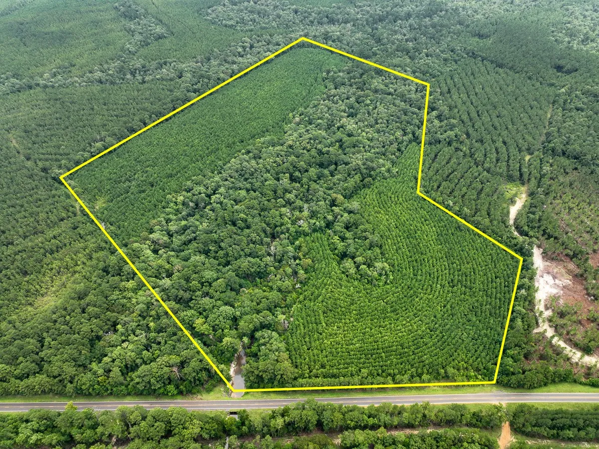 Unimproved Land For Sale in Newton County , 0 FM 2939, Newton, Texas 75966, 0, 0, Garage spaces, 0 Sqft, built in 0, Price $305,140, mls#21032294, Real Estate Agent in Newton, Homes For Sale in Newton county, Homes For Sale in Newton, Realtor in Newton Texas, Real Estate Brokerage Independent Realty Texas, Luminita Cordes Realtor