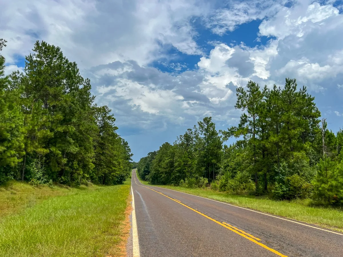 View of asphalt road featuring a wooded view