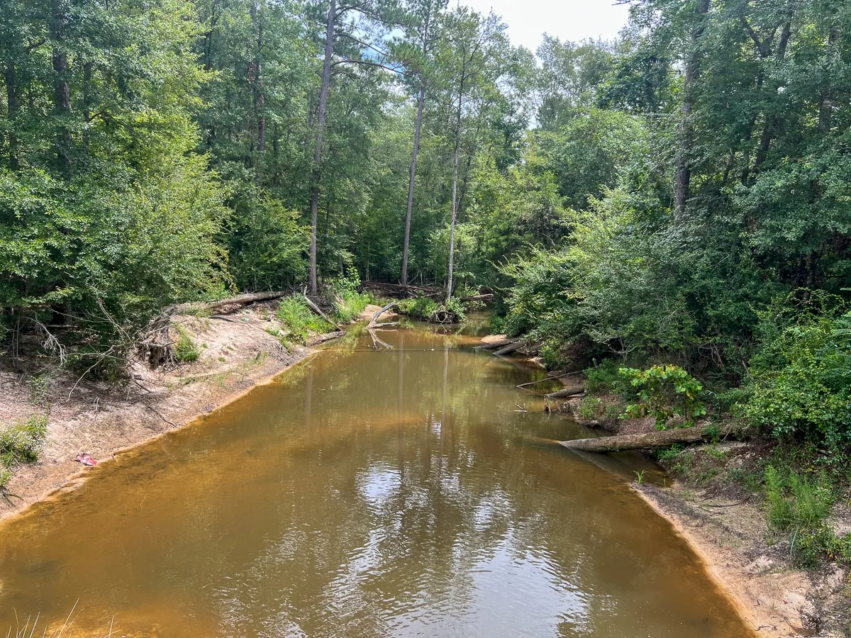 Water view
