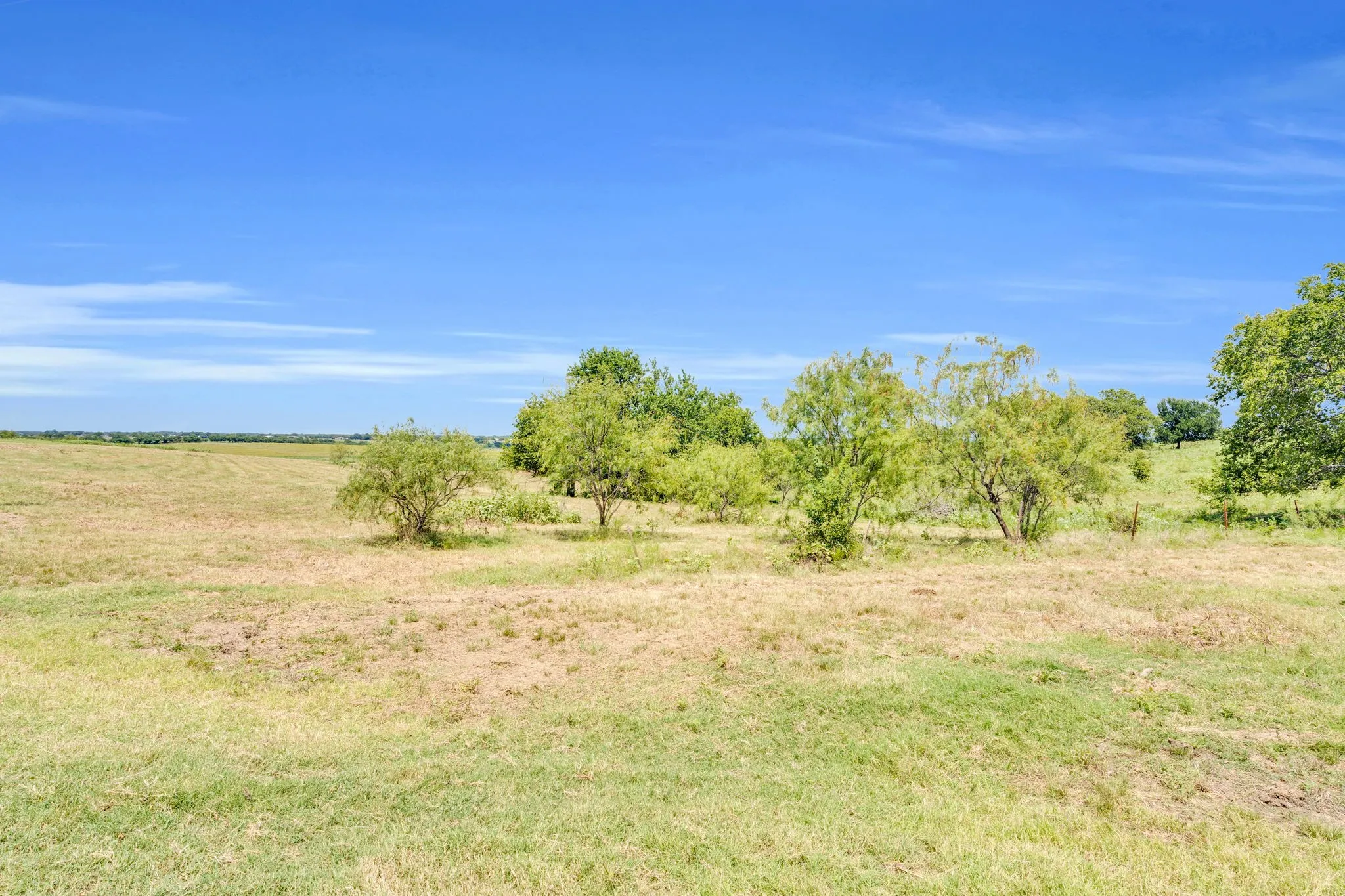 View of few trees near the front of the property