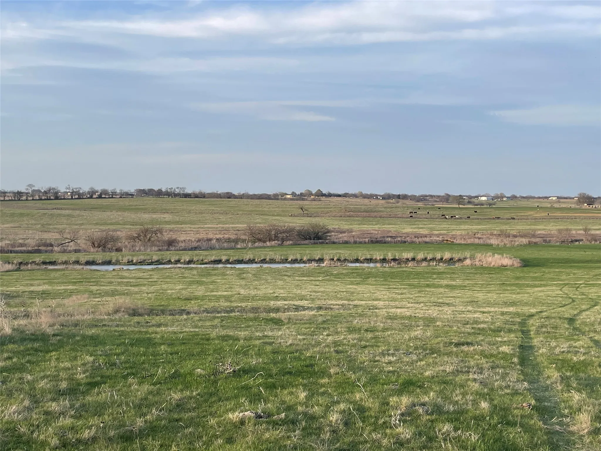 Back of the property near the pond. Close up of the ranch view