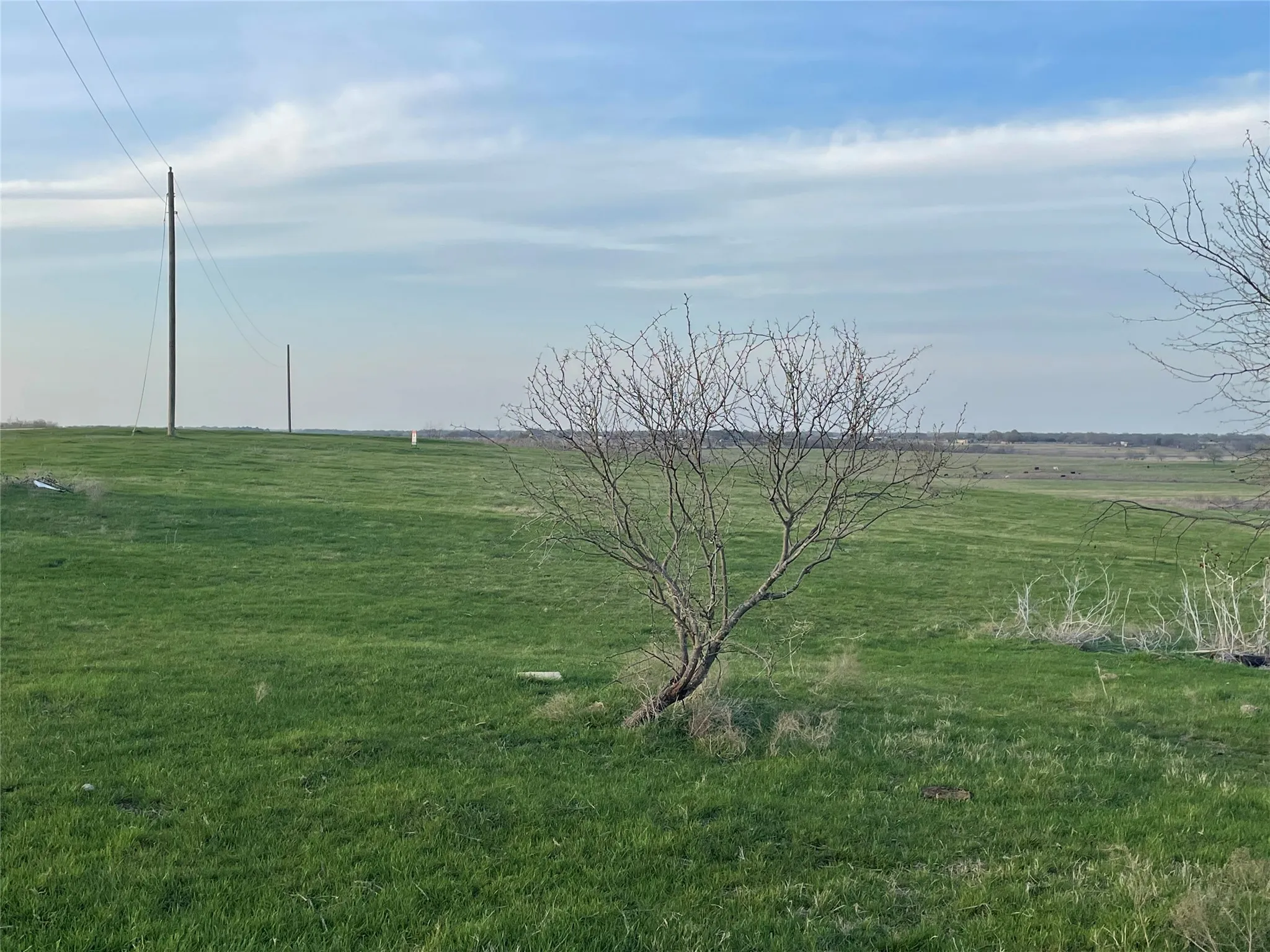 From the corner of property at the road, electric poles for reference