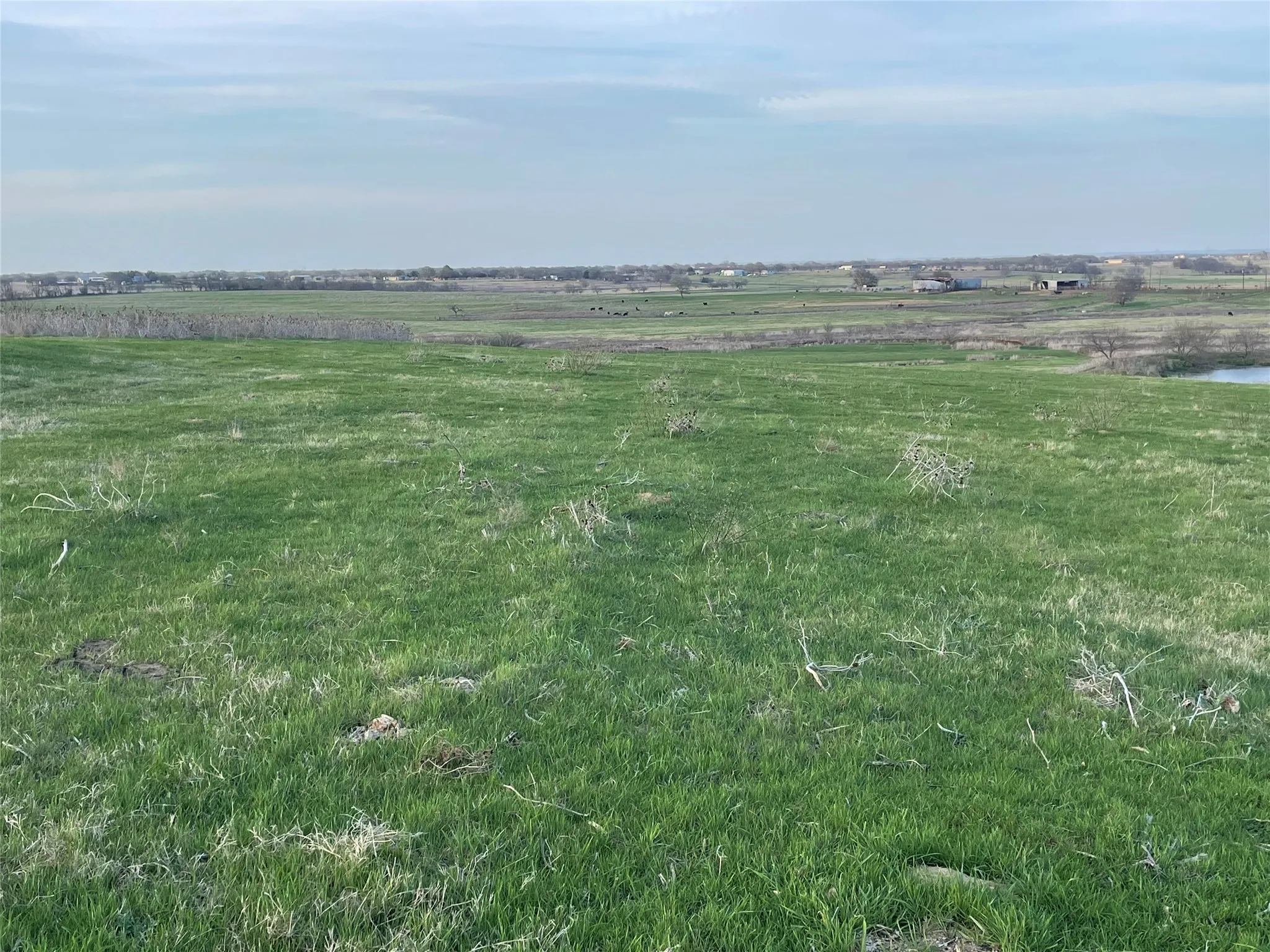 March 2026 view of the gorgeous 145 ranch the tract backs up to. Image coffee from your balcony in the morning.